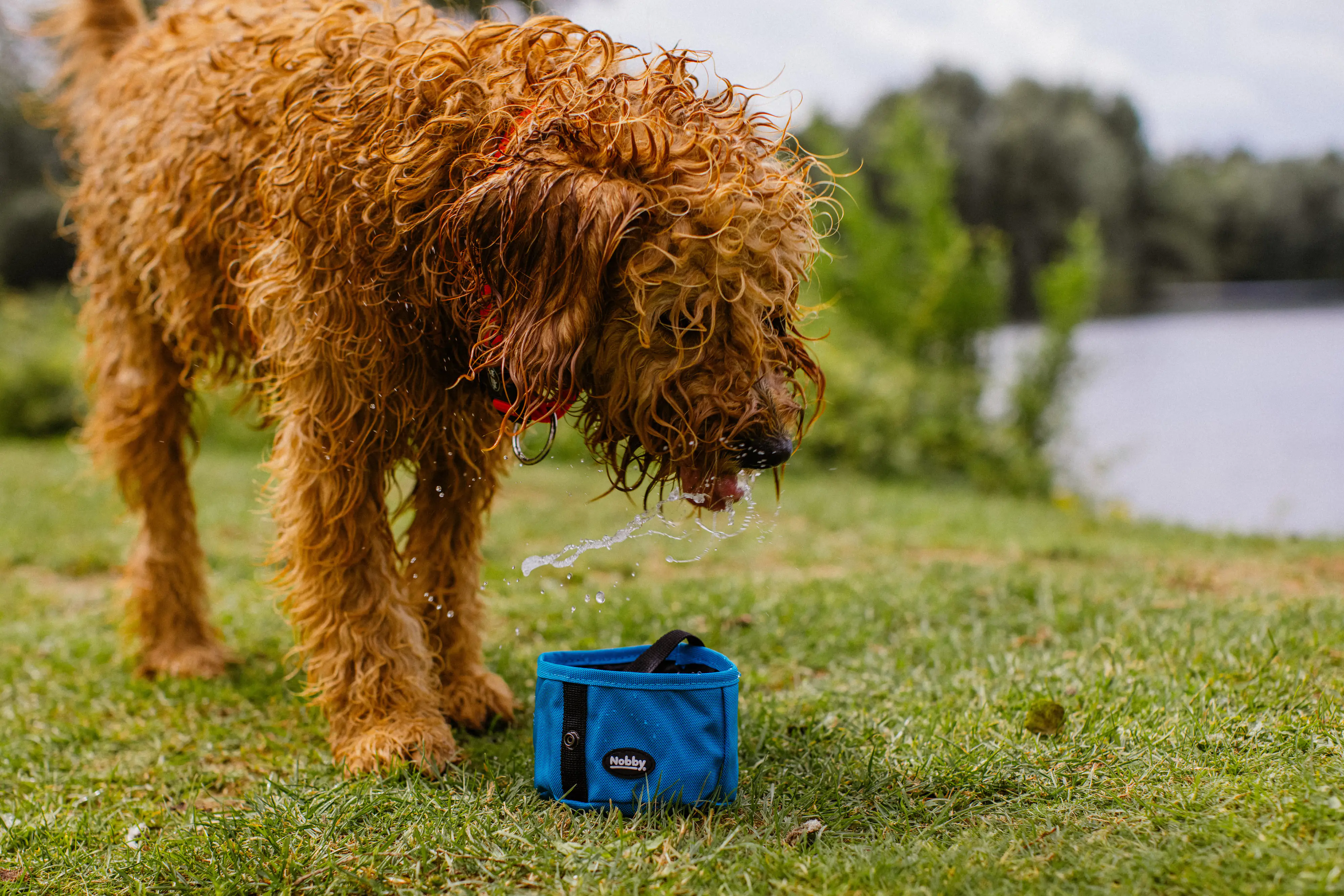 Nobby Reisenapf Rio hellblau 500 ml