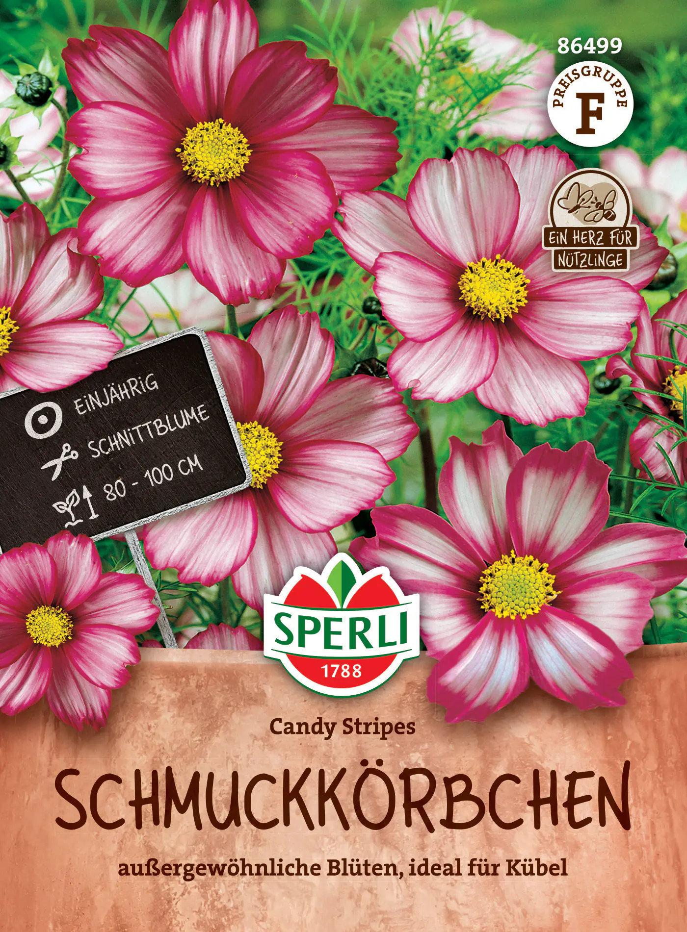 Sperli Saatgut Schmuckkörbchen Candy Stripes für ca. 30 Pflanzen