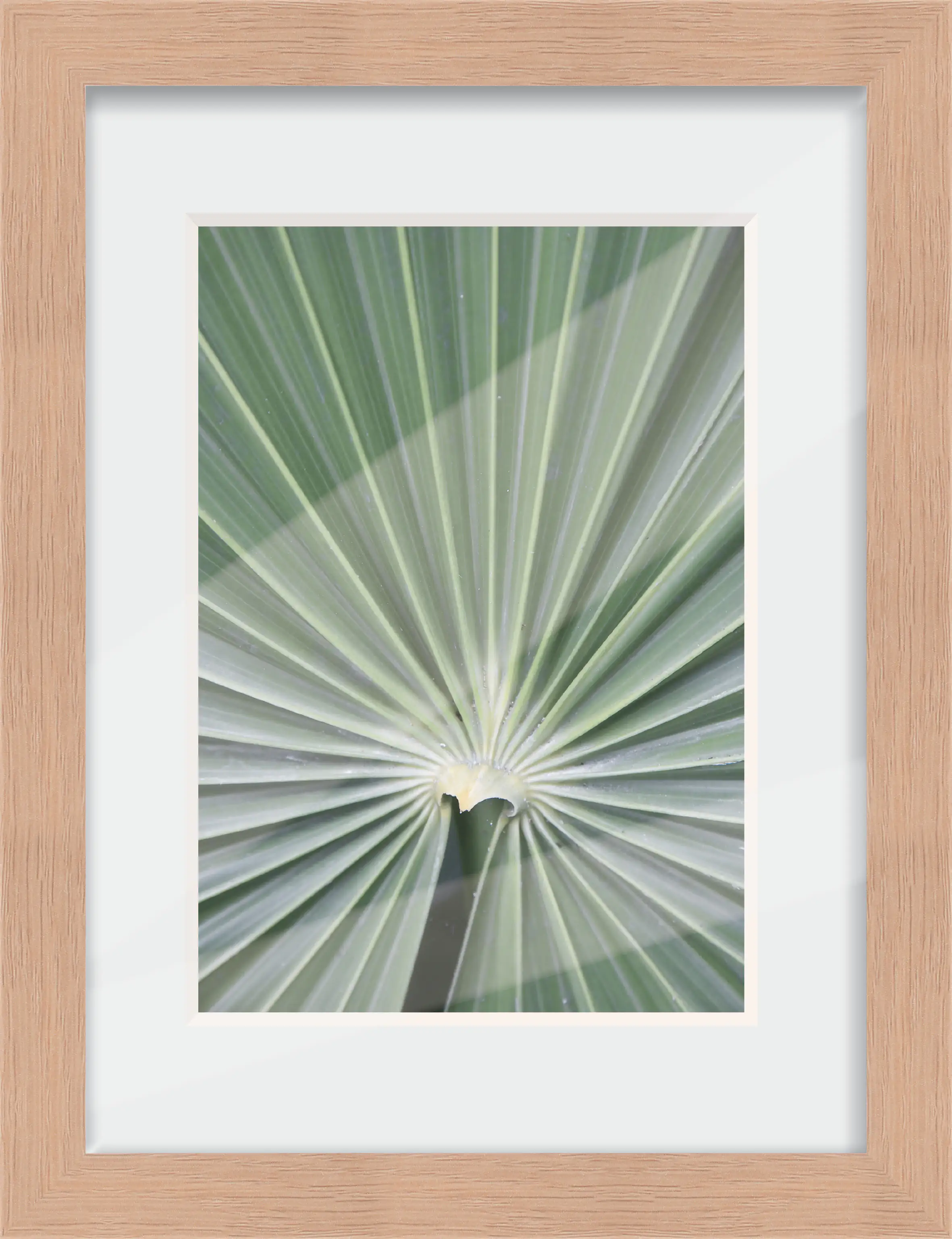 Holz Bilderrahmen Wien eiche, 18 x 24 cm