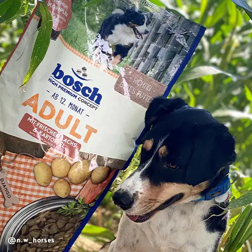 Bosch Trockenfutter für Hunde Adult 15 kg mit Lachs & Kartoffel Bosch Trockenfutter für Hunde Adult 15 kg mit Lachs & Kartoffel