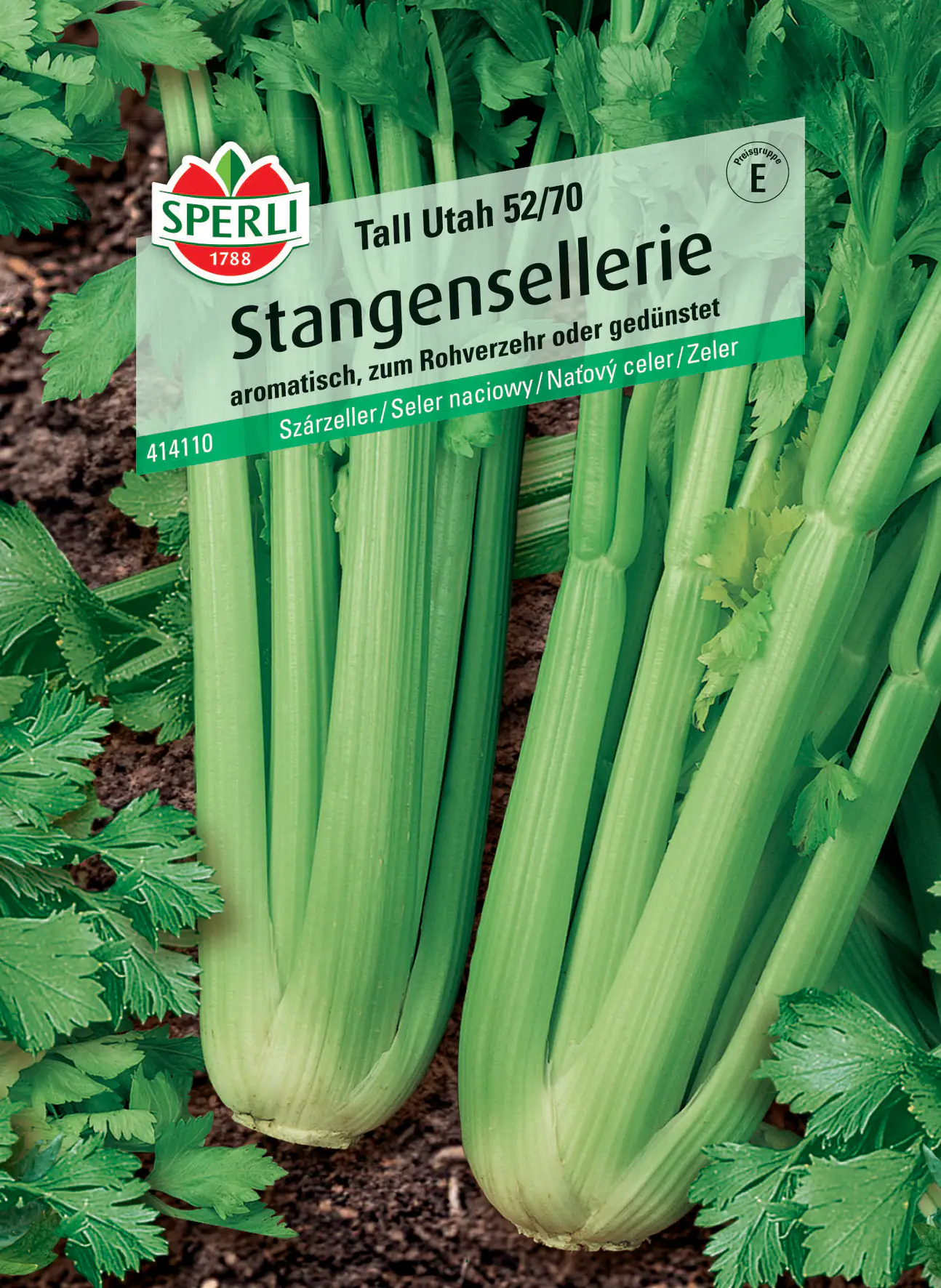 Sperli Stangensellerie Tall Utah 52/70