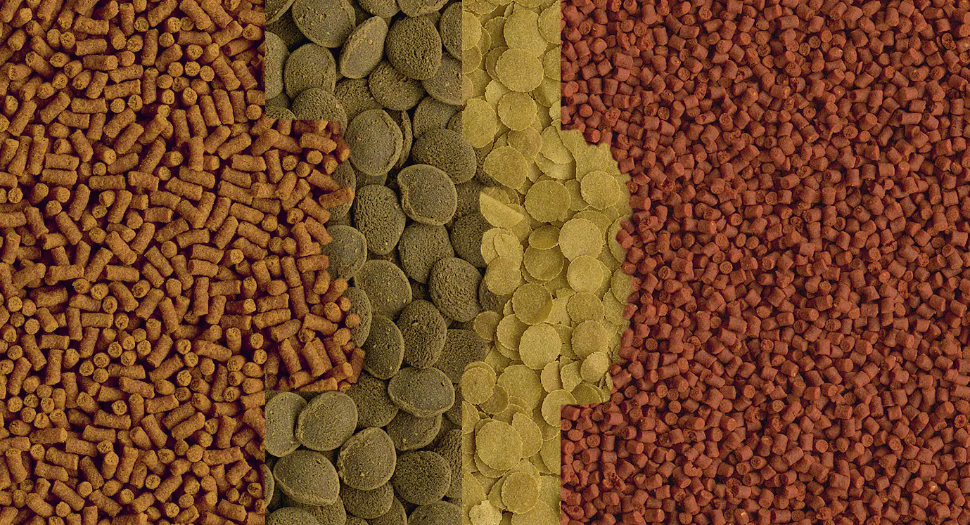 Tetra Crusta Menu 100 ml