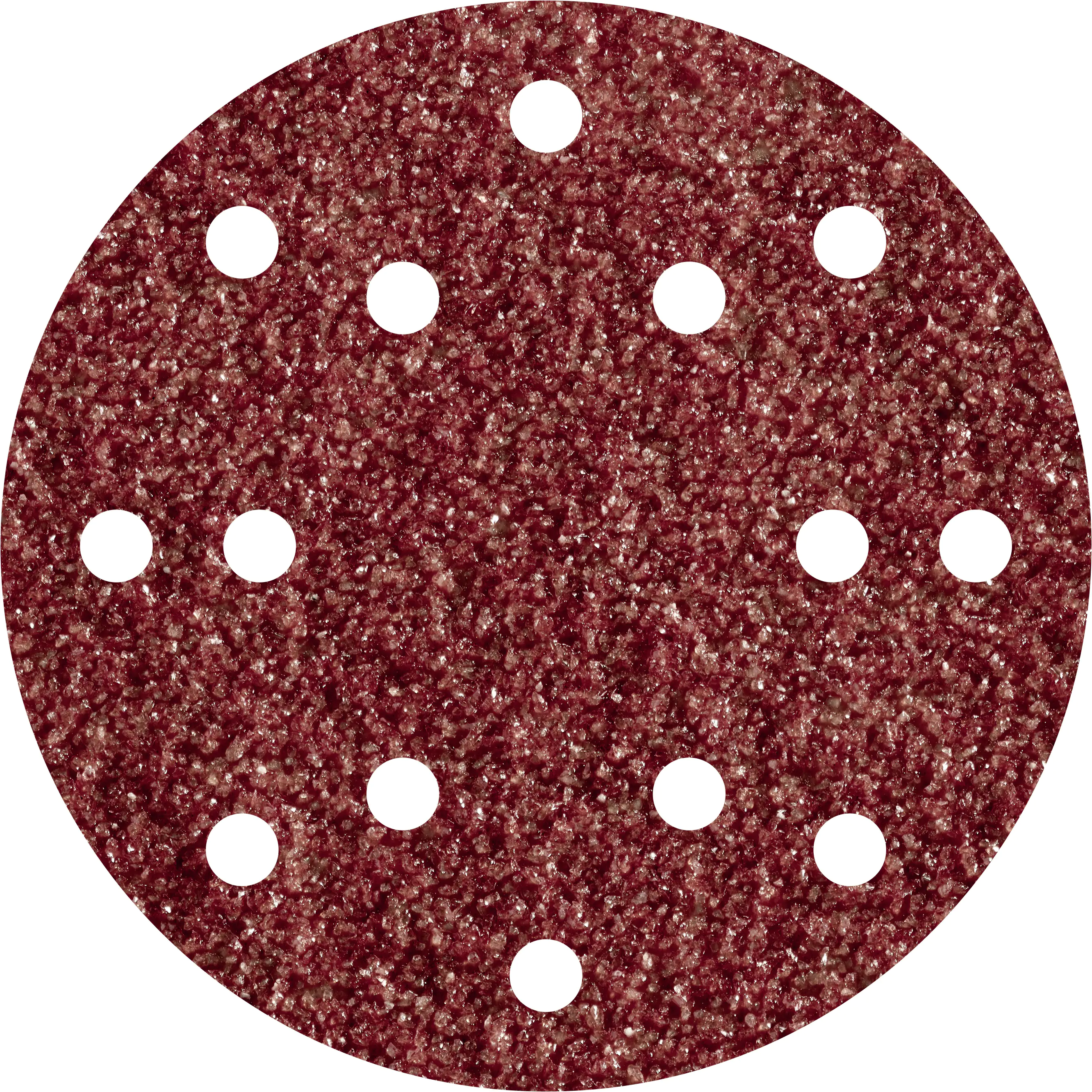 Wolfcraft Haftschleifscheiben K80 Ø 150 mm für Exzenterschleifer