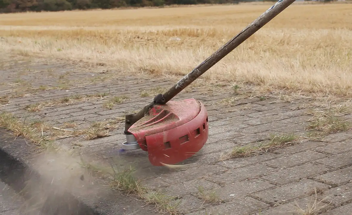 XerVex Wildkrautbürste