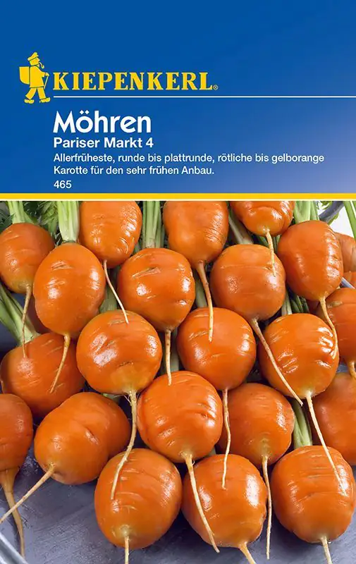 Kiepenkerl Möhre Pariser Markt 4 Daucus carota ssp. sativus, Inhalt: ca. 8 lfd. Meter