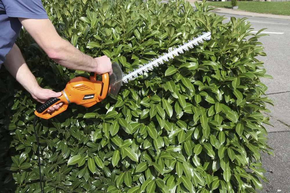 Primaster Elektro-Heckenschere PMHS 6555 55 cm Schnittlänge