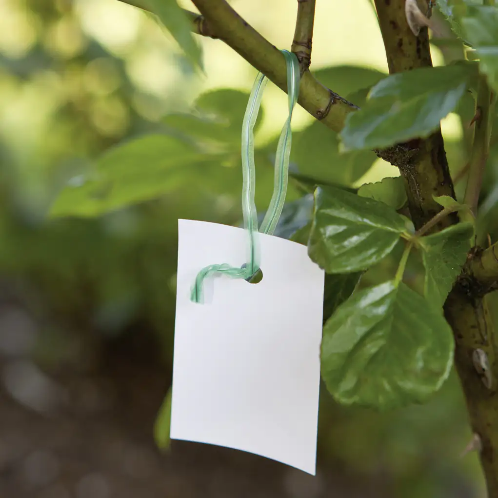 Windhager Drehbinder 15 cm, 100 Stück