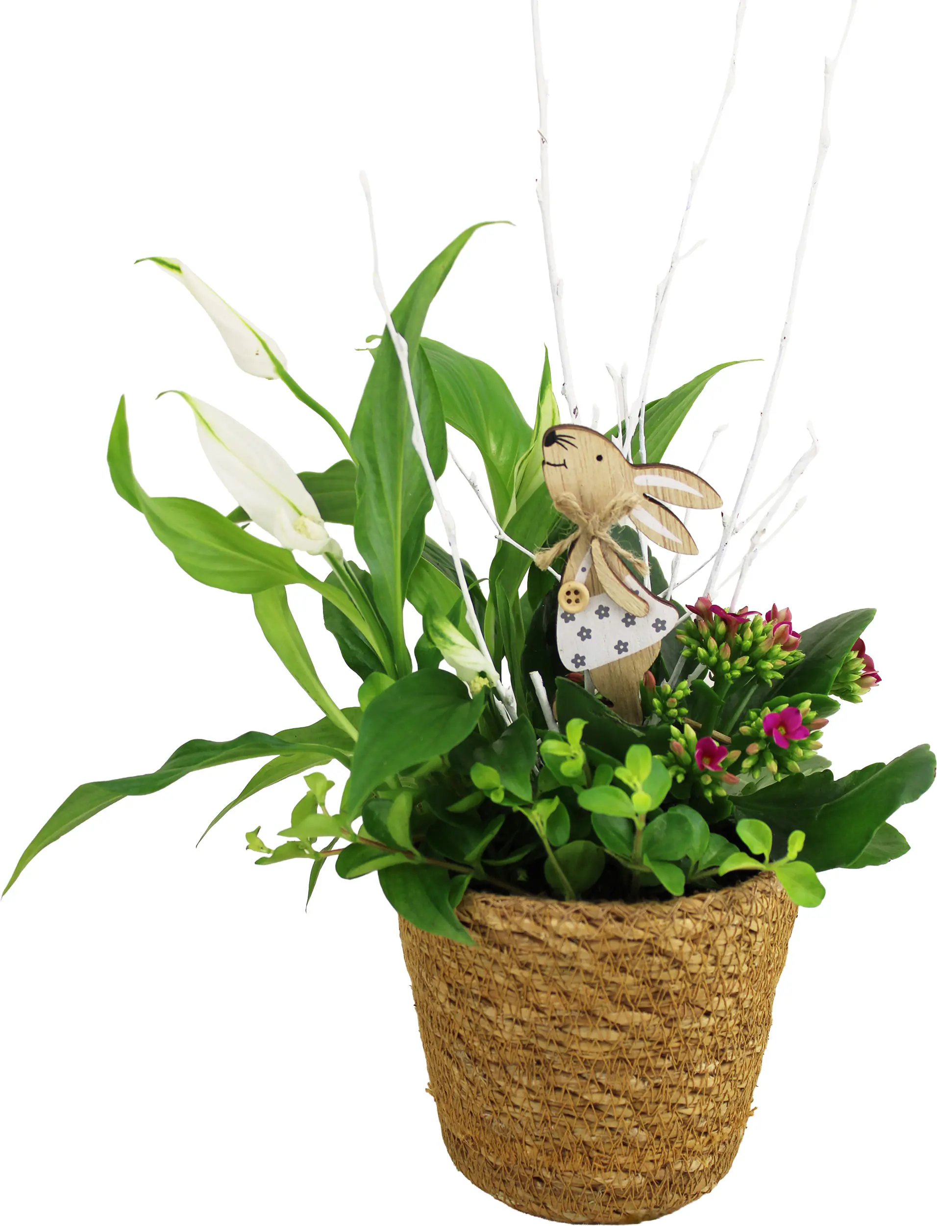 Osterarrangement Frühlingskorb Spathiphyllum, Kalanchoe & Peperomia im Naturkorb