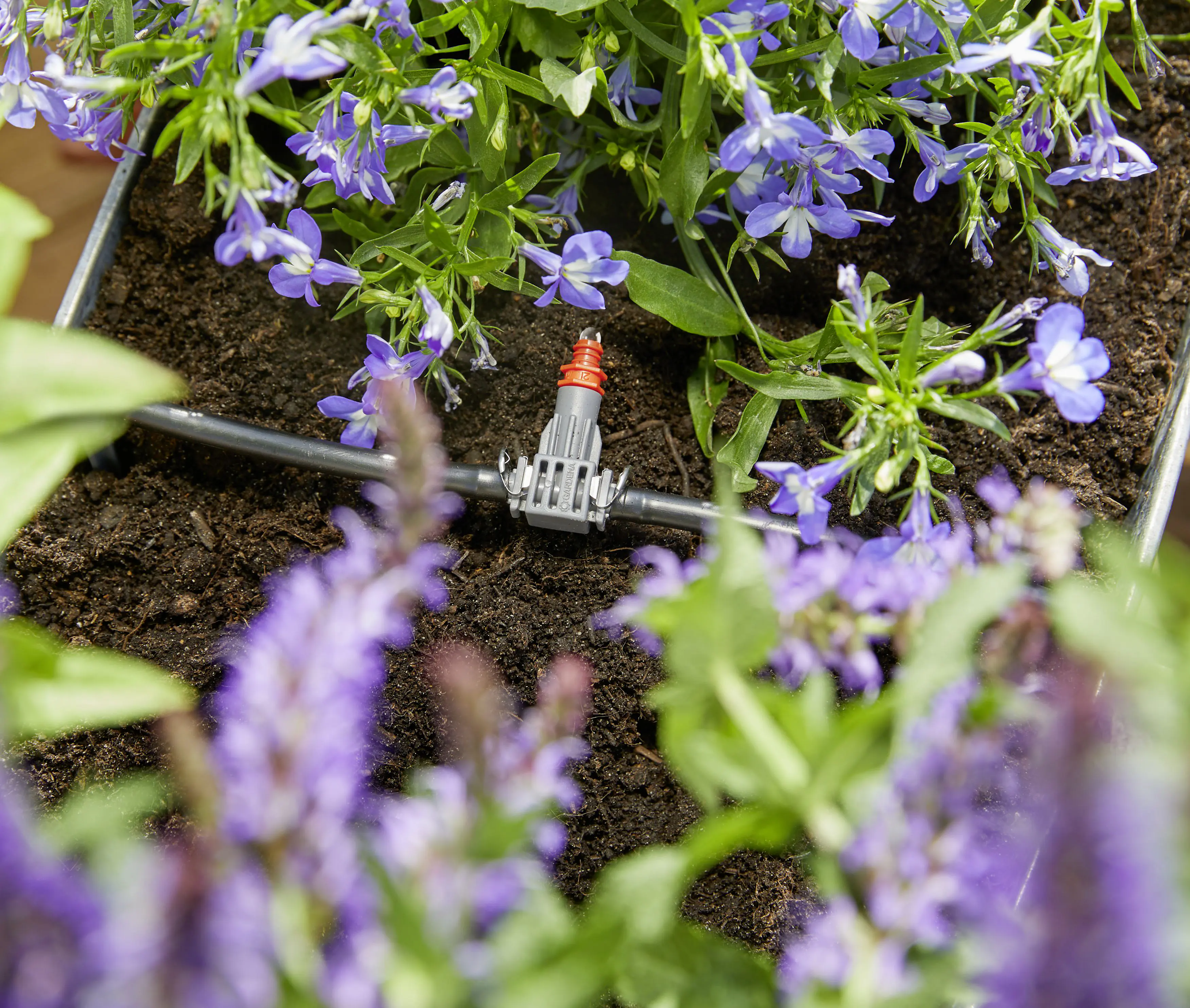 Gardena Blumenkastenbewässerung, vollautomatisch