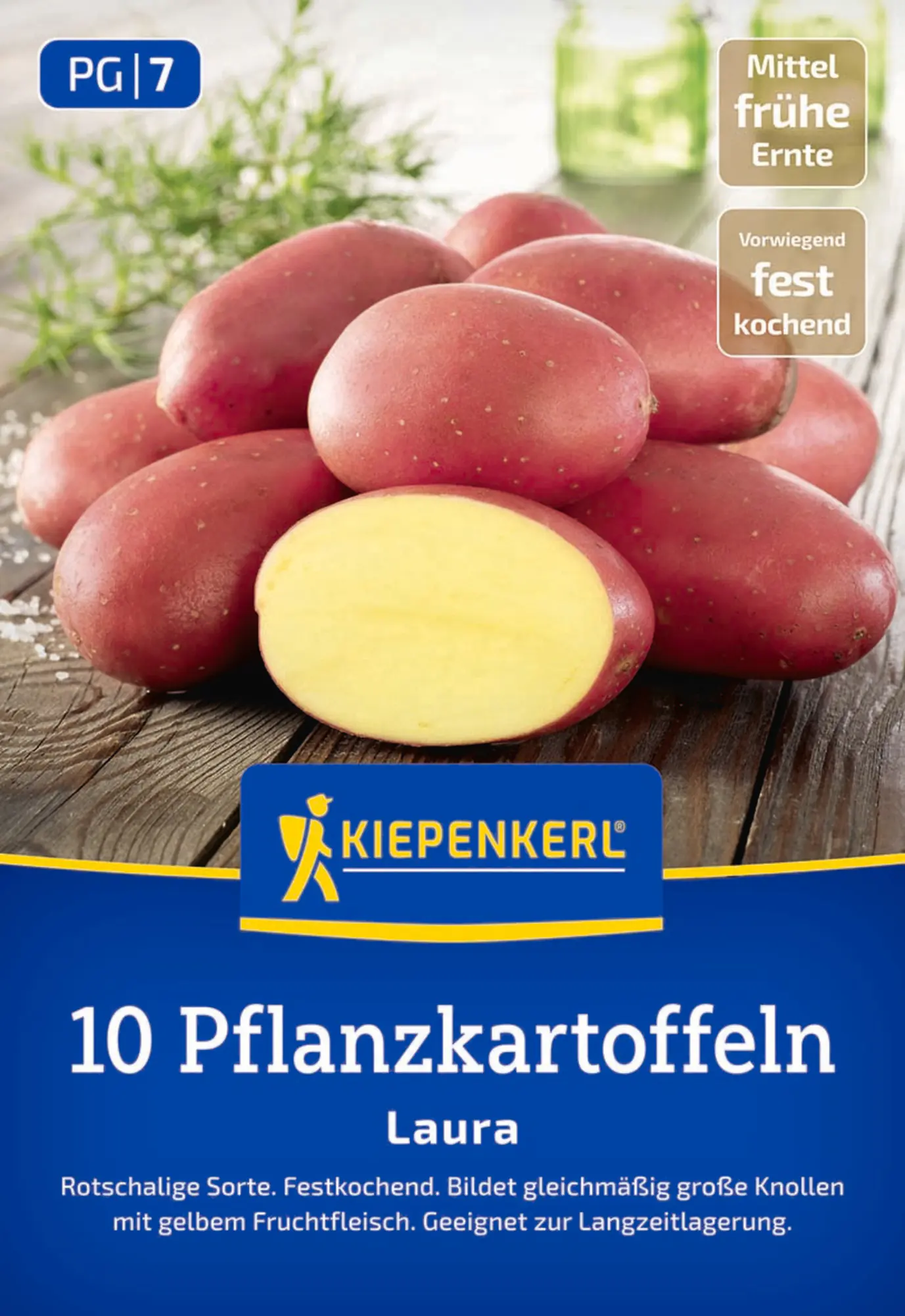 Kiepenkerl Pflanzkartoffel Laura 10 Stück