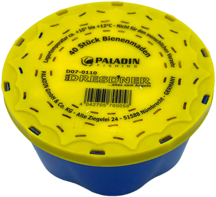 Dresdner Angelköder Bienenmaden 40 Stück Dose