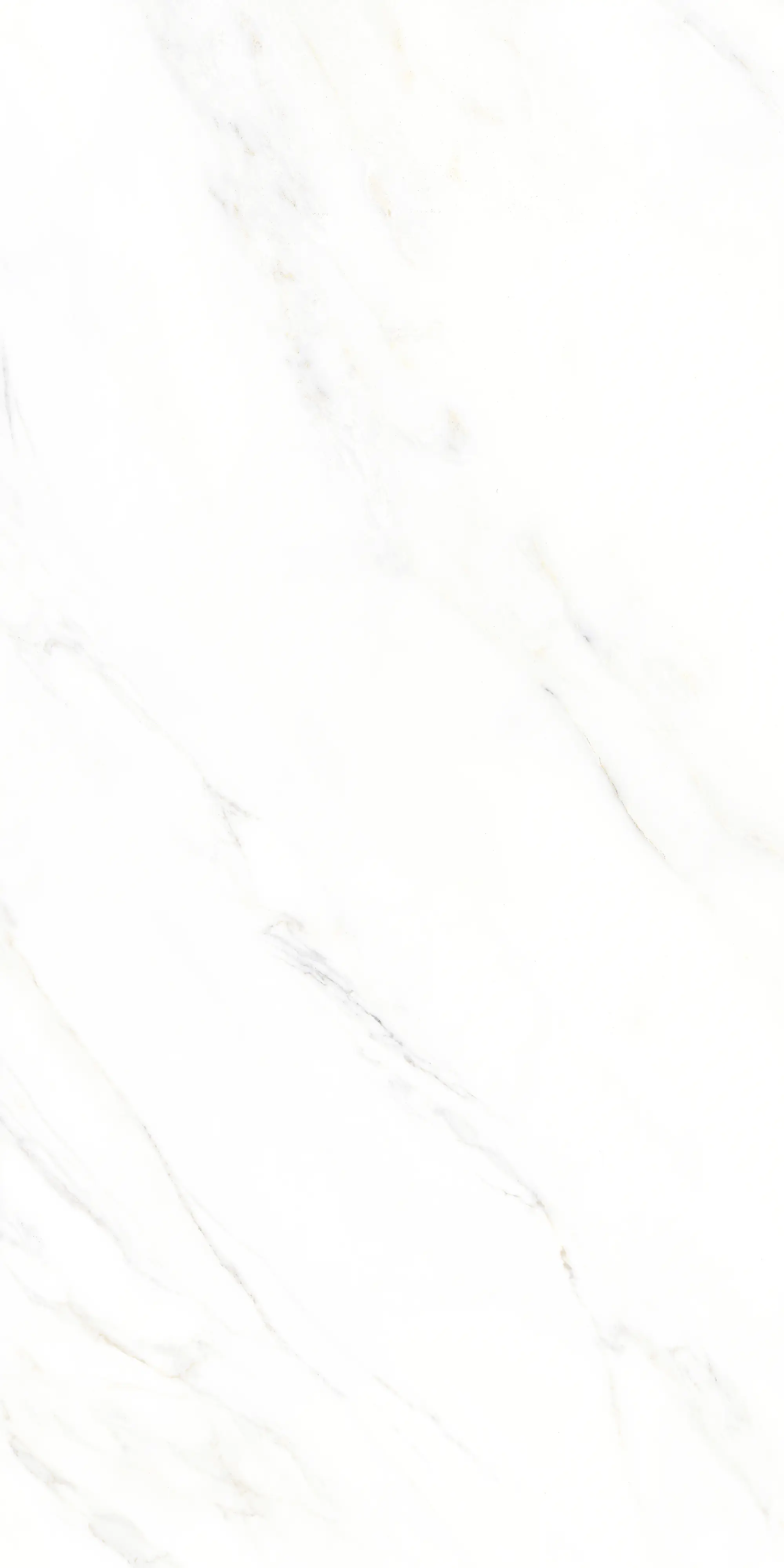 Bodenfliese Feinsteinzeug Calacatta 30 x 60 cm weiß