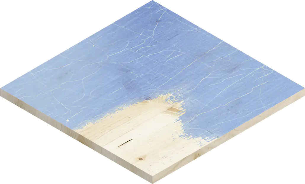 Bosch Expert Schleifnetz M480 Ø 125 mm G 120 5 Stück