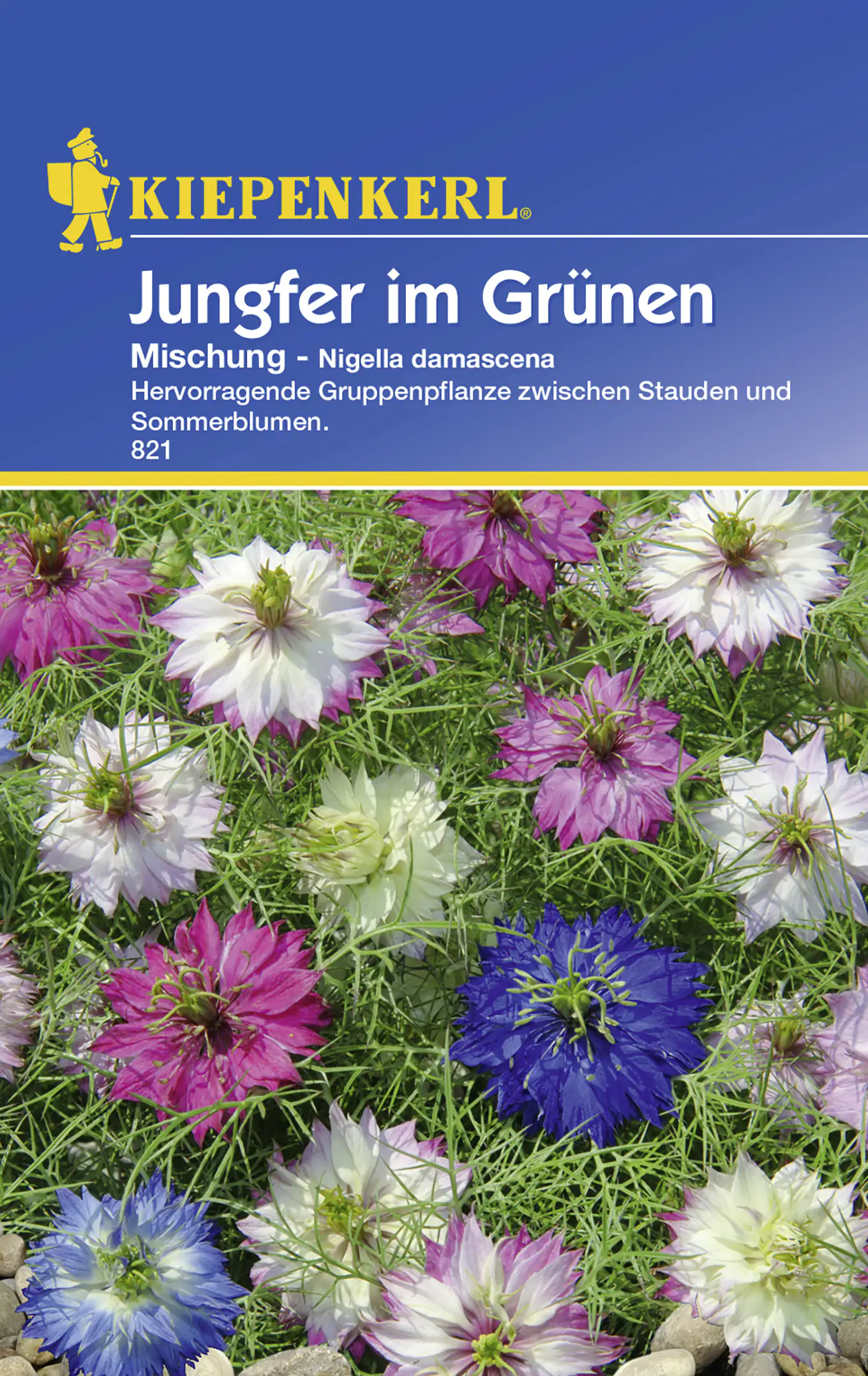 Kiepenkerl Jungfer im Grünen Mischung Nigella damascena, Inhalt: ca. 60 Pflanzen