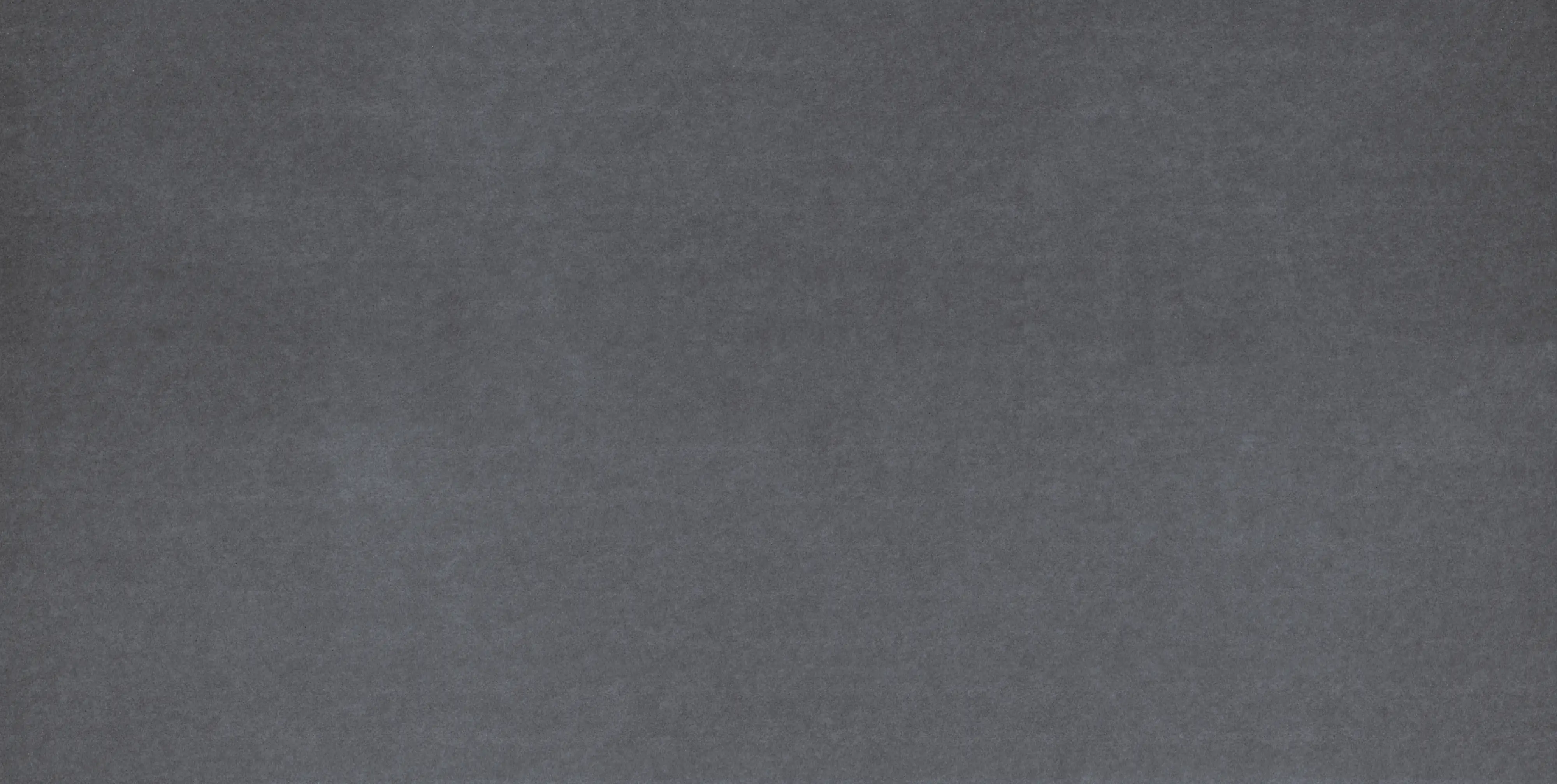 Bodenfliese Feinsteinzeug 2.0 Promo 31 x 62 cm anthrazit Bodenfliese Feinsteinzeug 2.0 Promo 31 x 62 cm anthrazit