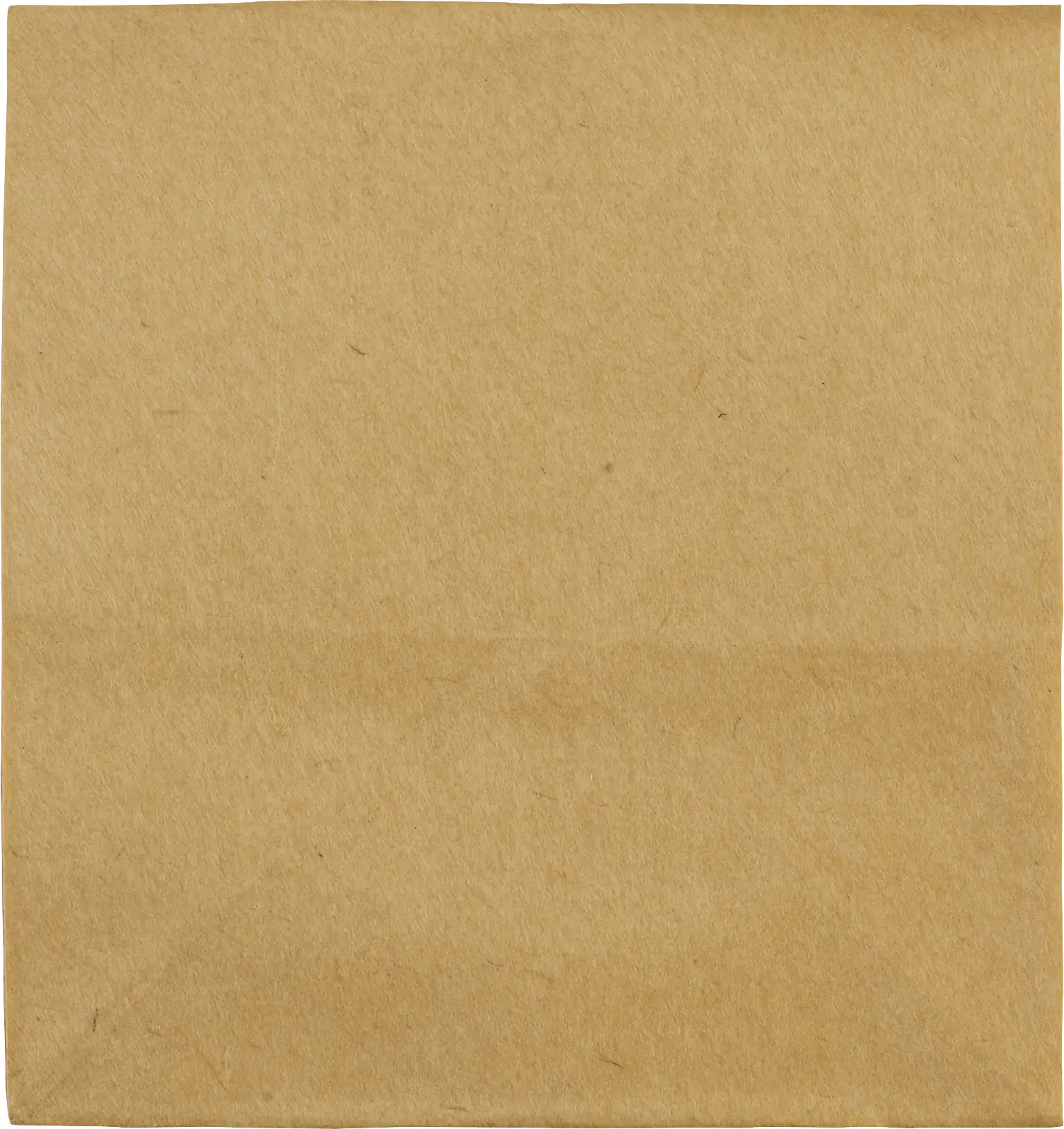 4006825231083_916513 Einhell Papierfilterset für Einhell Nass- & Trockensauger