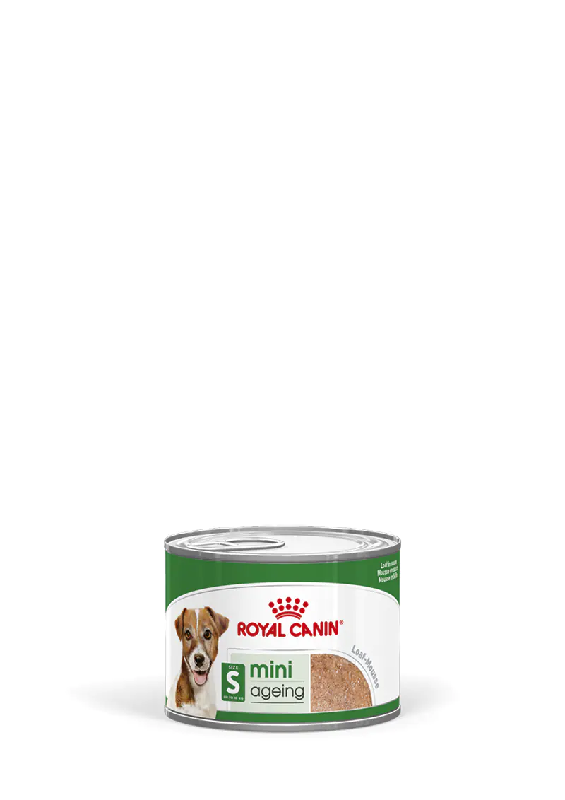 Royal Canin SHN Hundefutter Mini Ageing Mousse 195 g Royal Canin SHN Hundefutter Mini Ageing Mousse 195 g