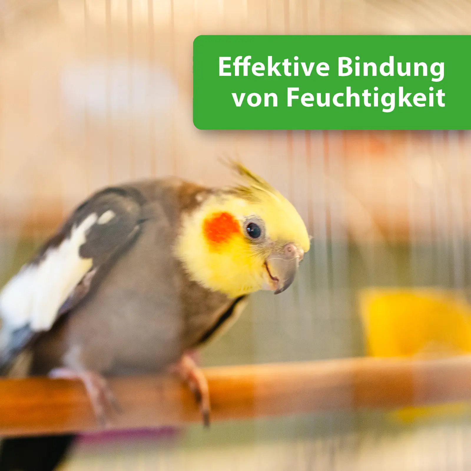 Quiko Hobbyfarming Kieselgur Pulver 200 g