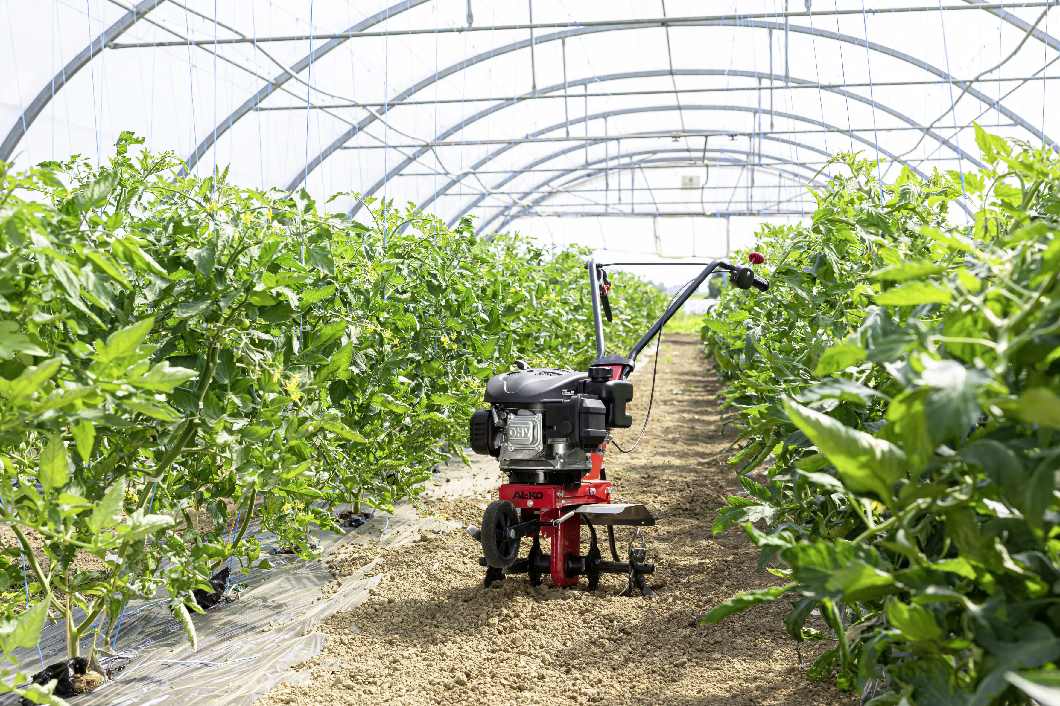 AL-KO Benzin-Motorhacke MH 360 Easy 2,2 kW, 36 cm Arbeitsbreite