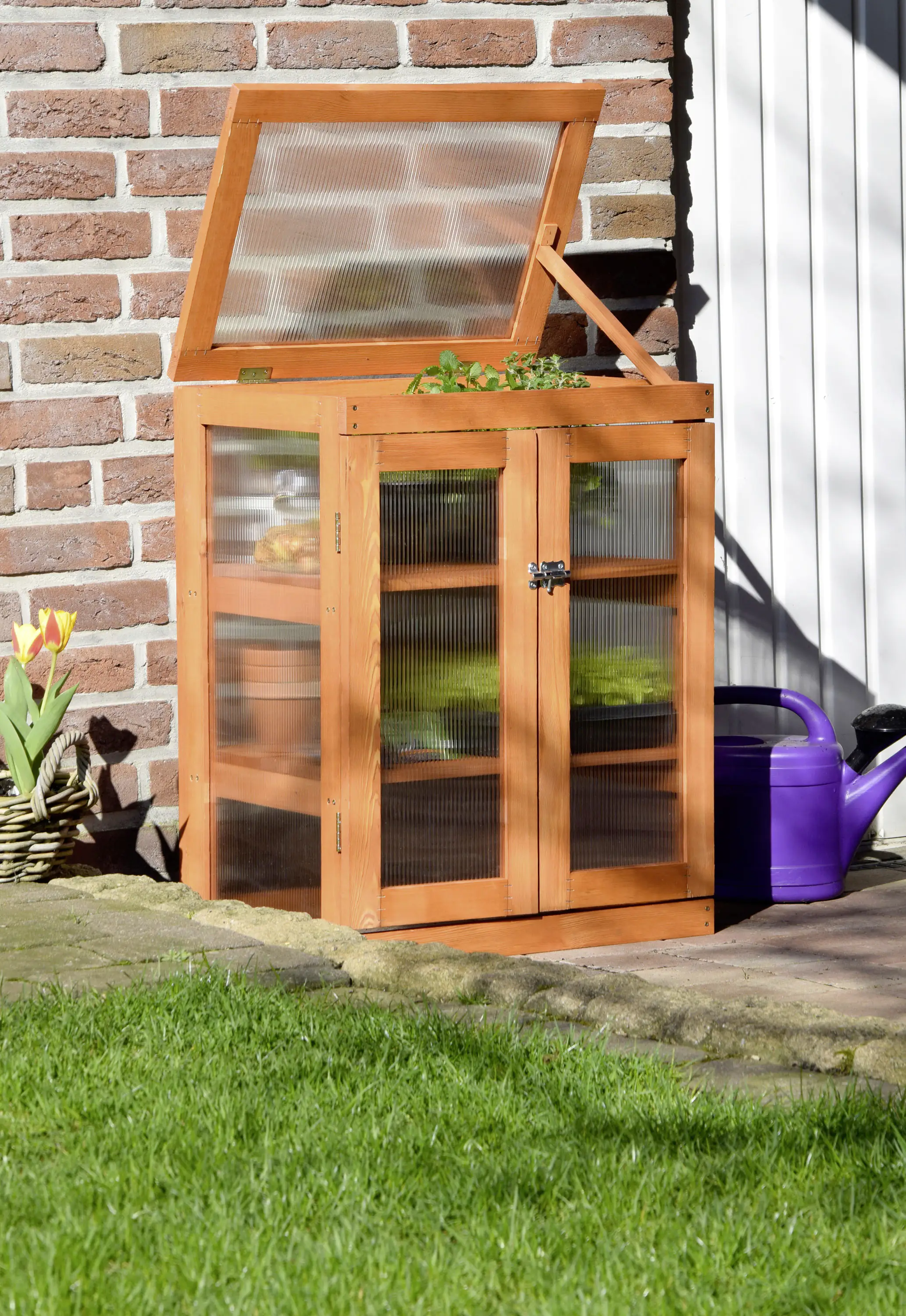 4042085291672_3169489 Dobar Mini-Gewächshaus 58x43x76 cm