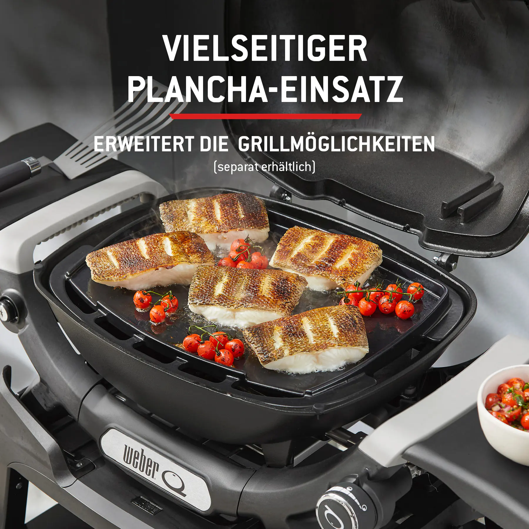 Weber Gasgrill Q1200N mit Gestell Grillfläche: 46 x 36 cm