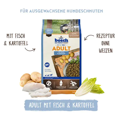 Bosch Trockenfutter für Hunde Adult 15 kg mit Fisch & Kartoffel Bosch Trockenfutter für Hunde Adult 15 kg mit Fisch & Kartoffel