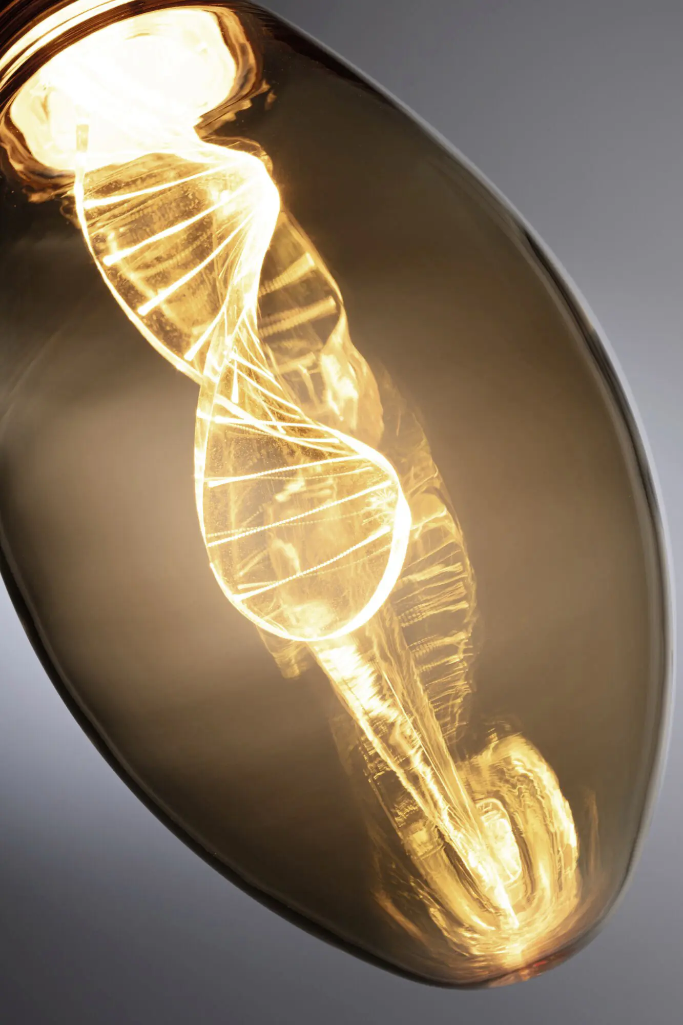 Paulmann LED Leuchtmittel Inner Glow Helix E27 3,5W gold