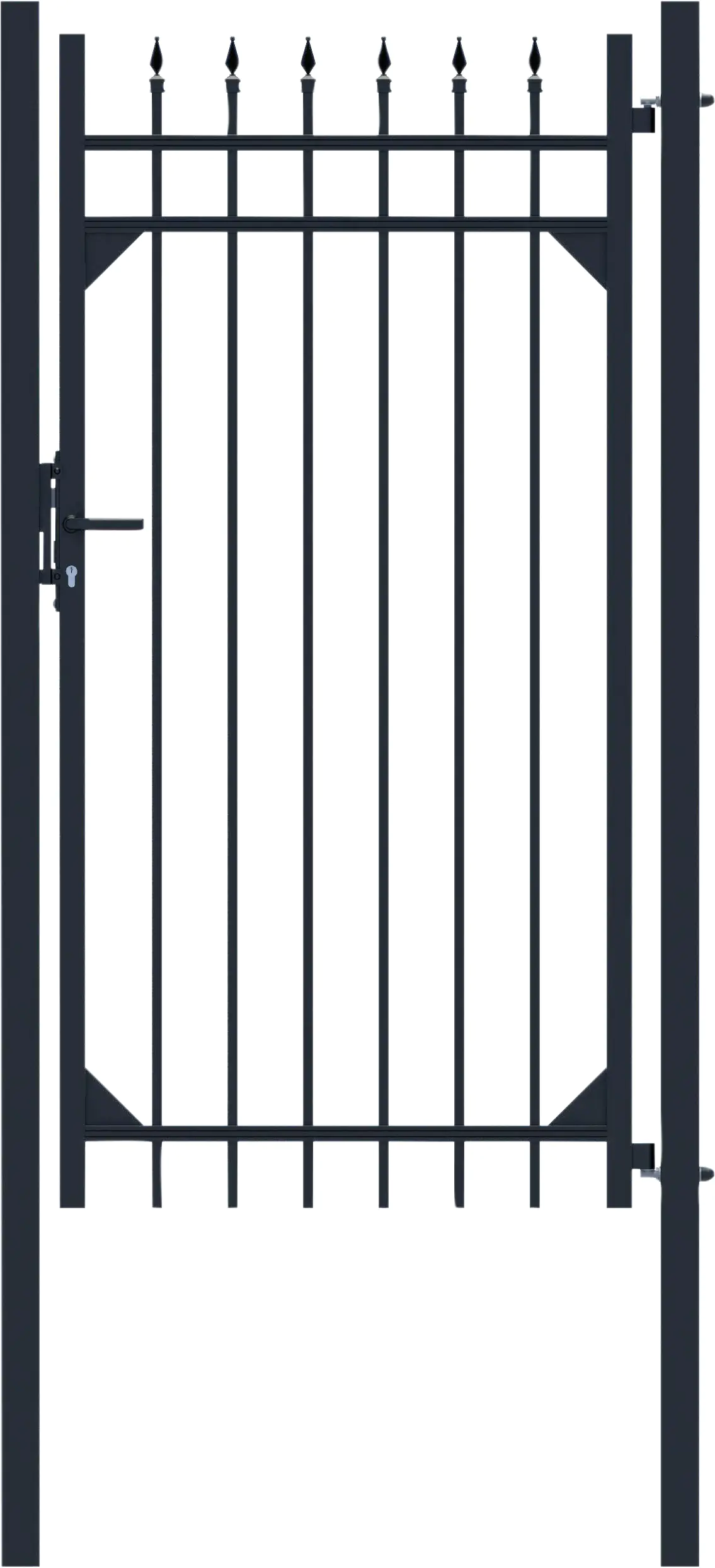 Alberts Einzeltor Columbus 180 x 96,5 cm matt schwarz