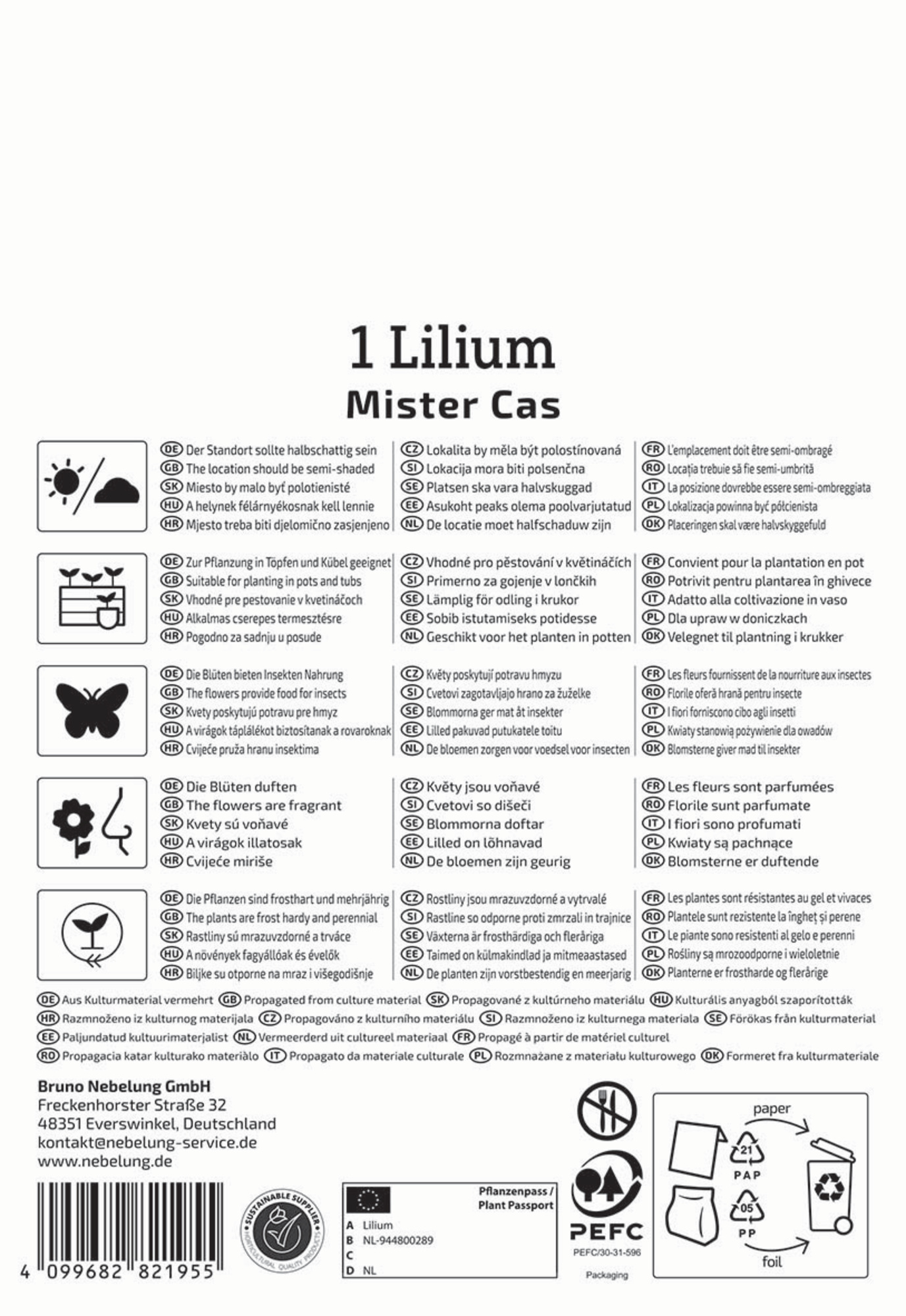 Kiepenkerl Profi-Line Frühjahrsblumenzwiebel Baum-Lilie Mister Cas 1 Stück
