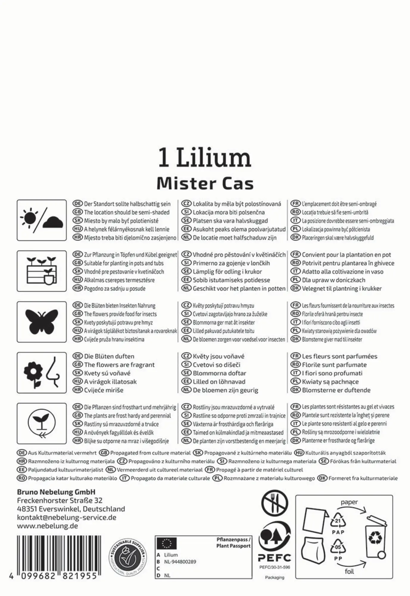 Kiepenkerl Profi-Line Frühjahrsblumenzwiebel Baum-Lilie Mister Cas 1 Stück