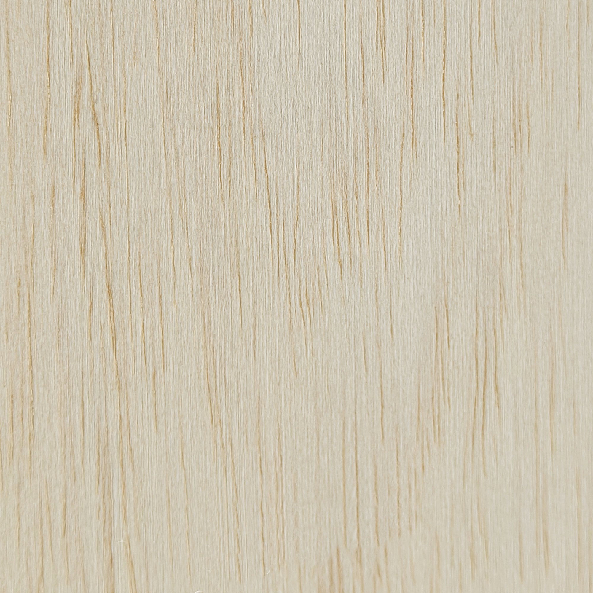 FN Neuhofer Balsa Brett 1000 x 15 x 100 mm