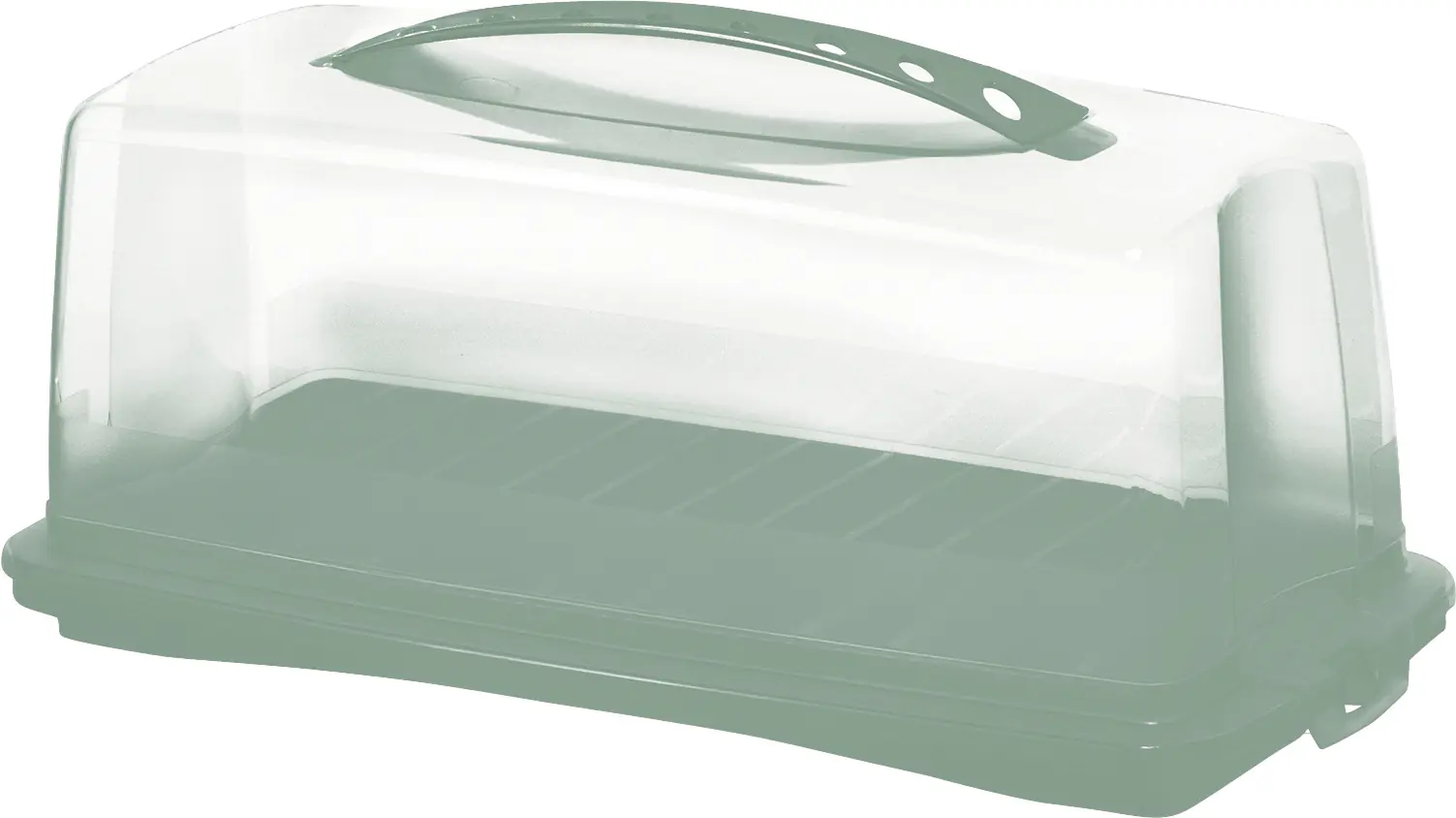 Rotho Kuchenbehälter Fresh Cake mit Klickverschluss mistletoe grün