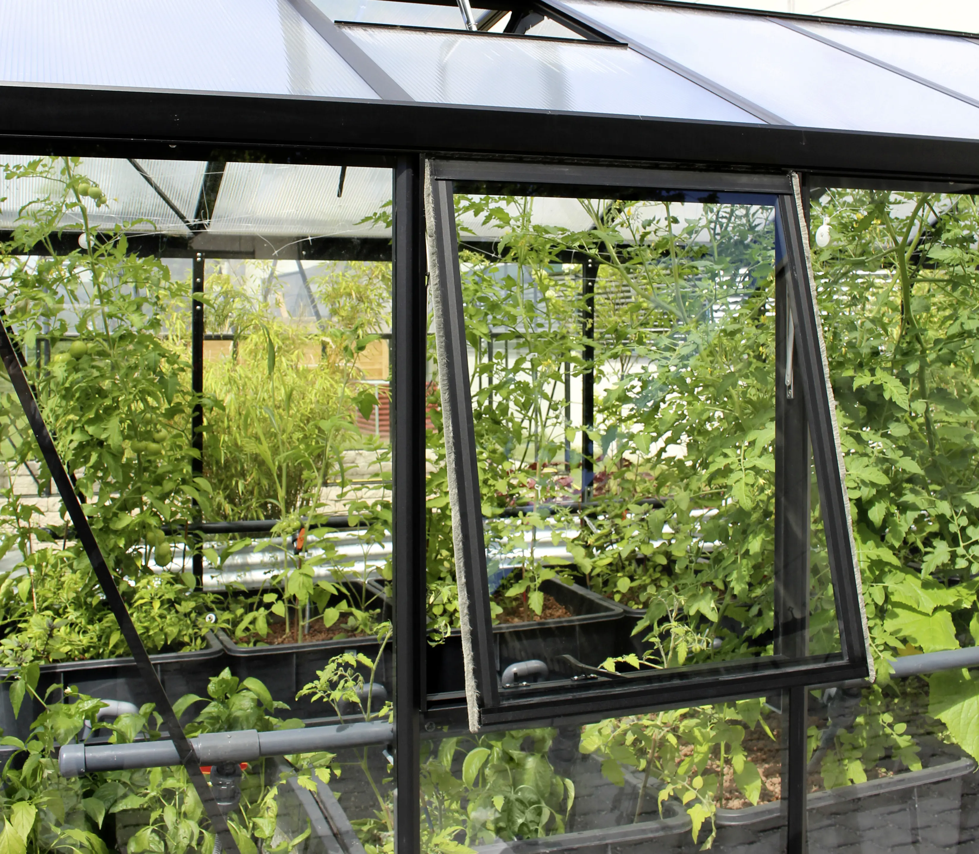 Vitavia Seitenfenster Z zu Gewächshaus Zeus schwarz