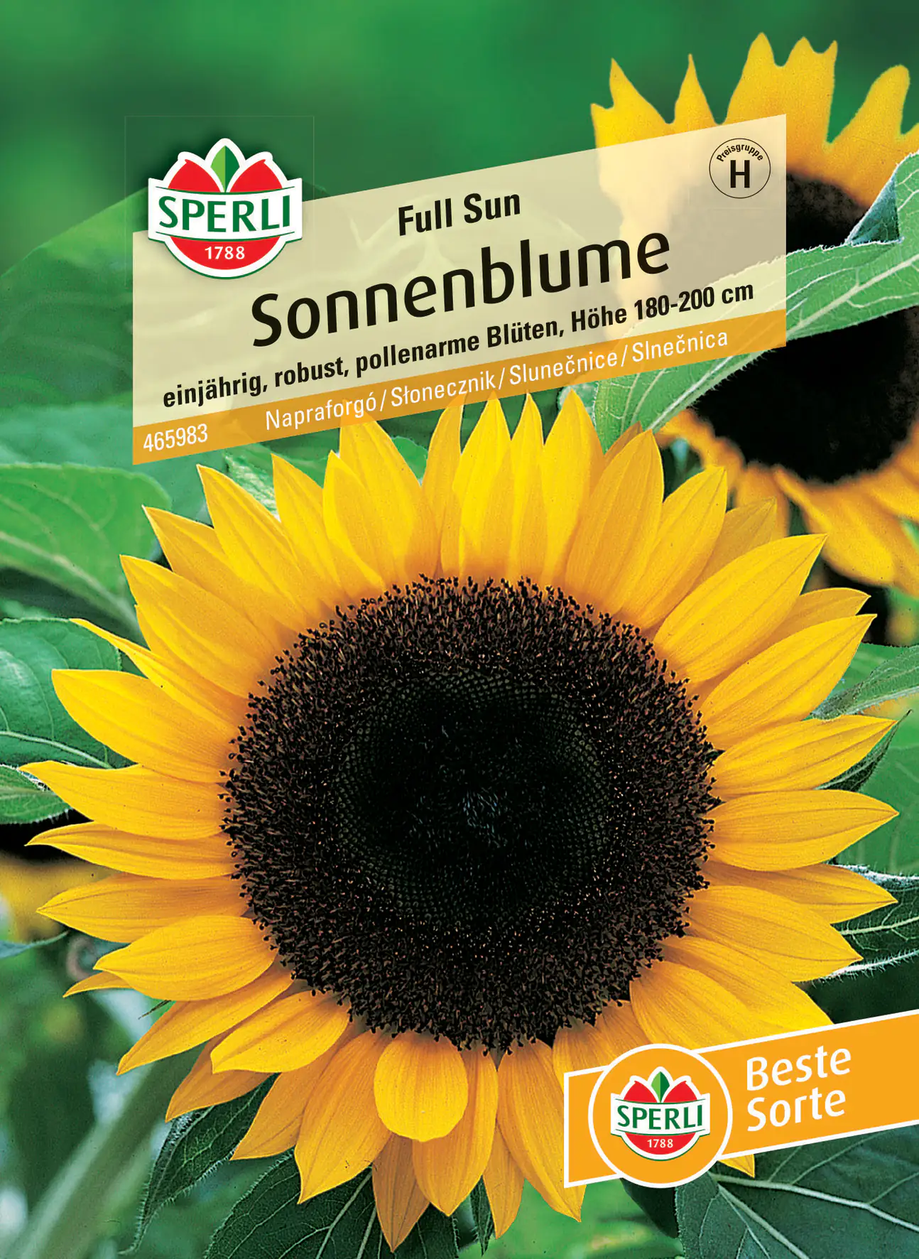 Sperli Sonnenblume Full Sun F1