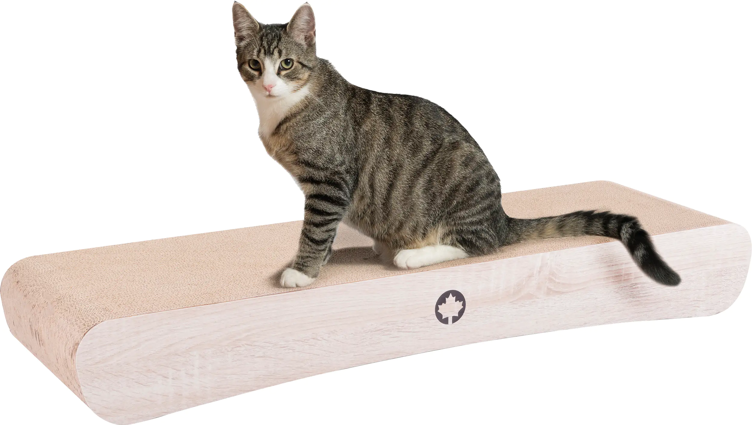 4038374101081 CanadianCat Kratzbrett Jumbo Wave XXL L 86 x B 27 x H 11,5 cm natur