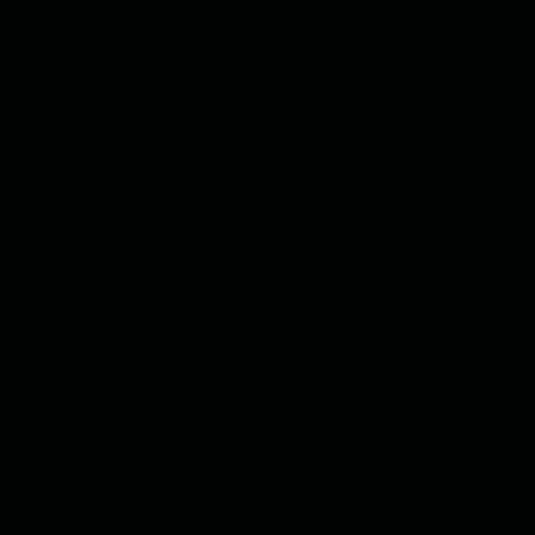 Glorex Fotokarton 300g/m2 A4 schwarz