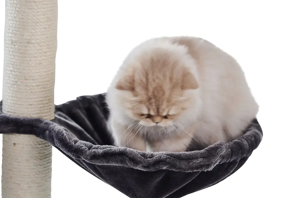 Nobby Kratzbaum Classic Fran H 137 cm schwarz/grau