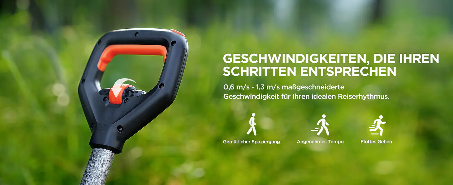 Litheli Bollerwagen 450 W W1 Pro, inkl. Akku 4.0 Ah