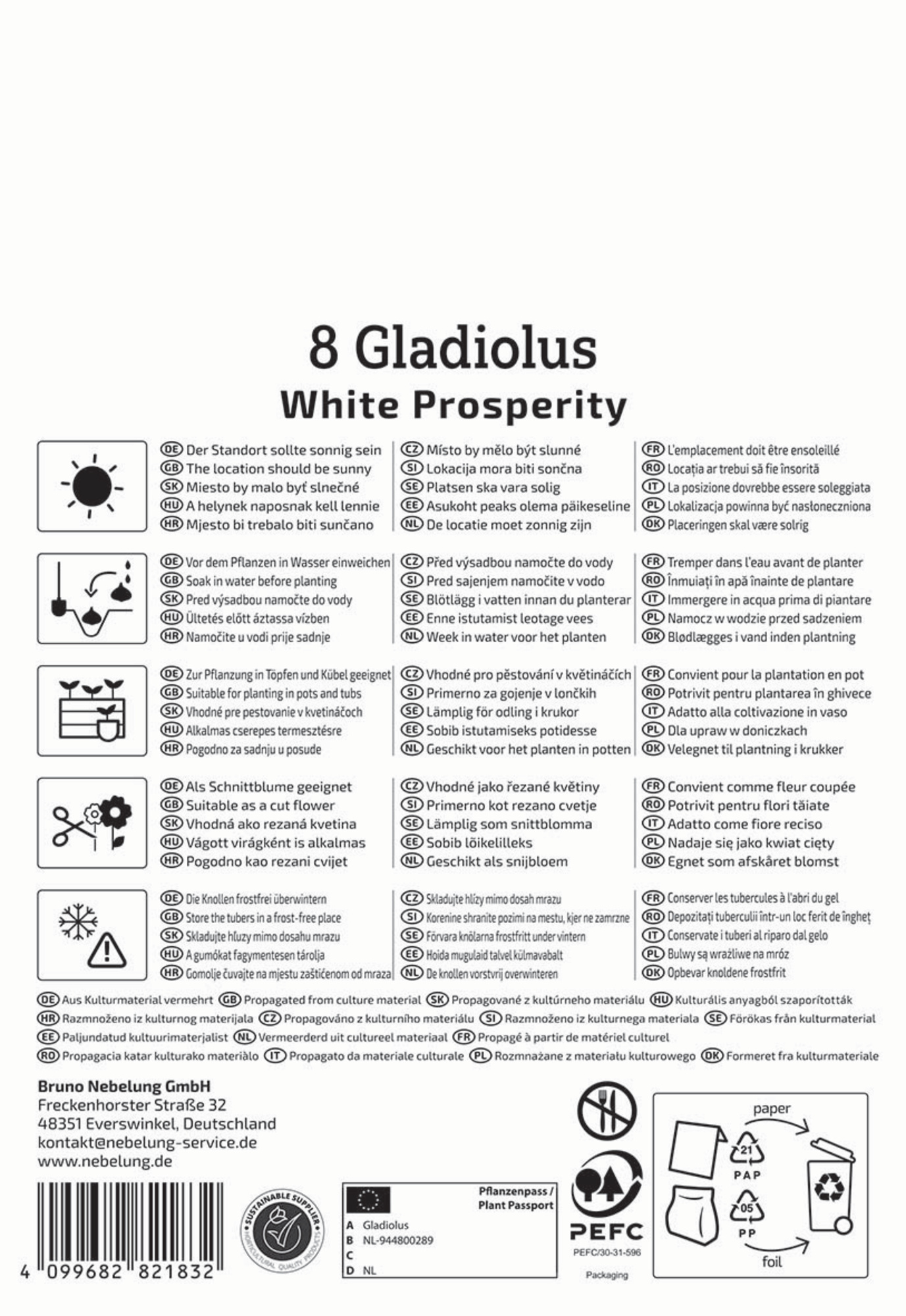 Kiepenkerl Frühjahrsblumenzwiebel Großblumige Gladiole White Prosperity 8 Stück