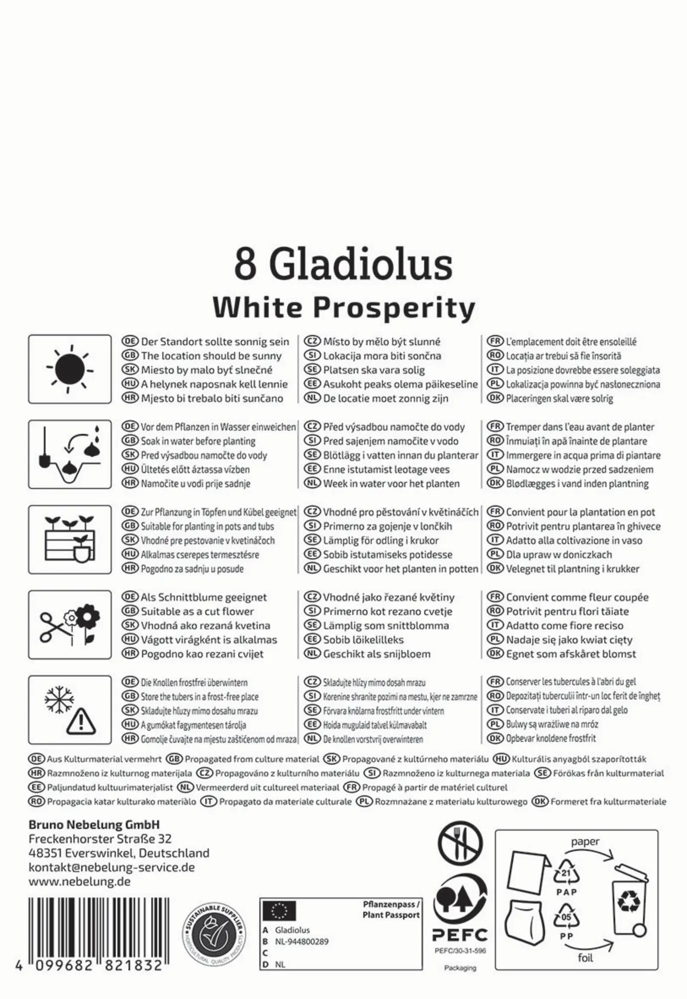 Kiepenkerl Frühjahrsblumenzwiebel Großblumige Gladiole White Prosperity 8 Stück