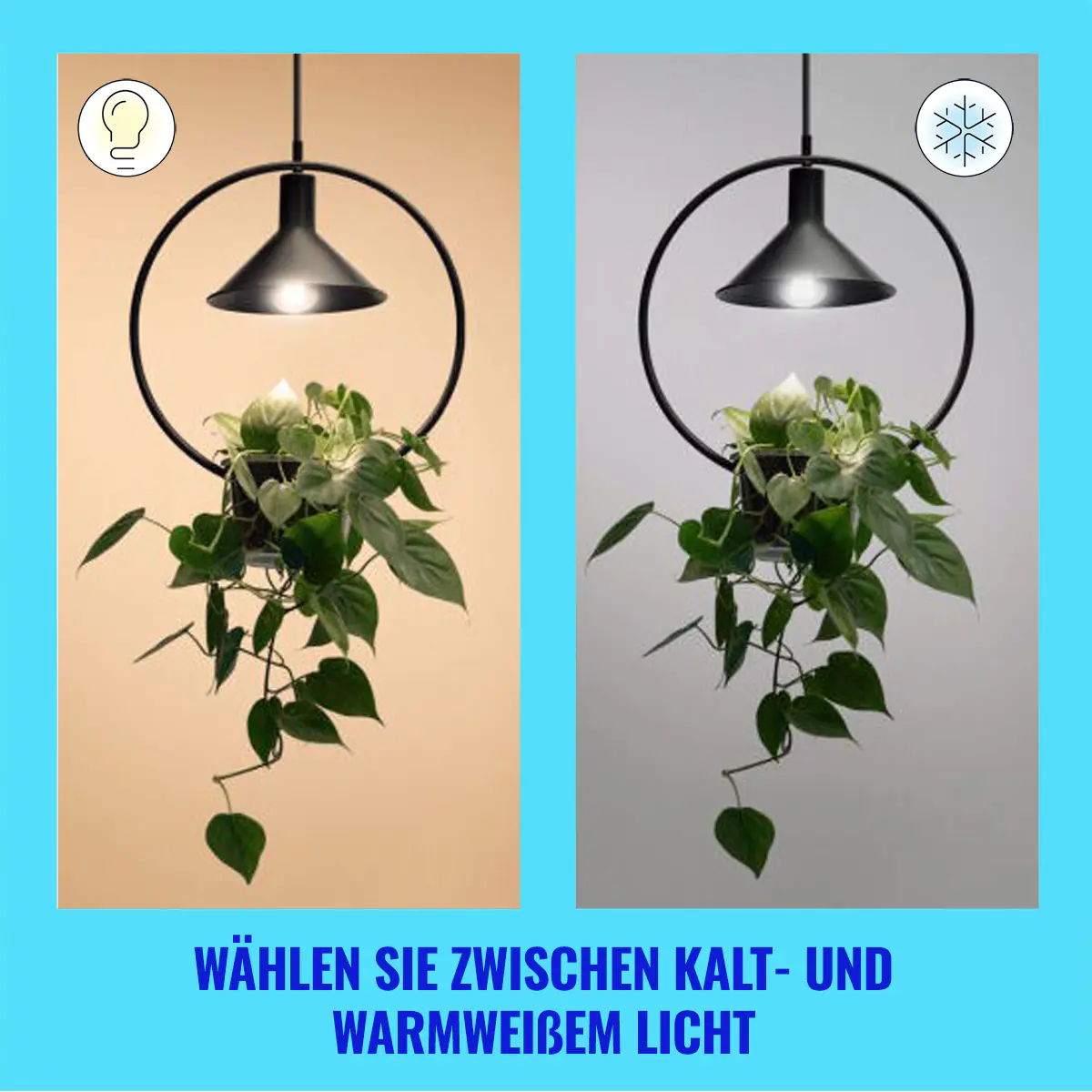 WiZ LED-Leuchtmittel Filament A60 G95 E27 4,3W warmweiß bis kaltweiß smart