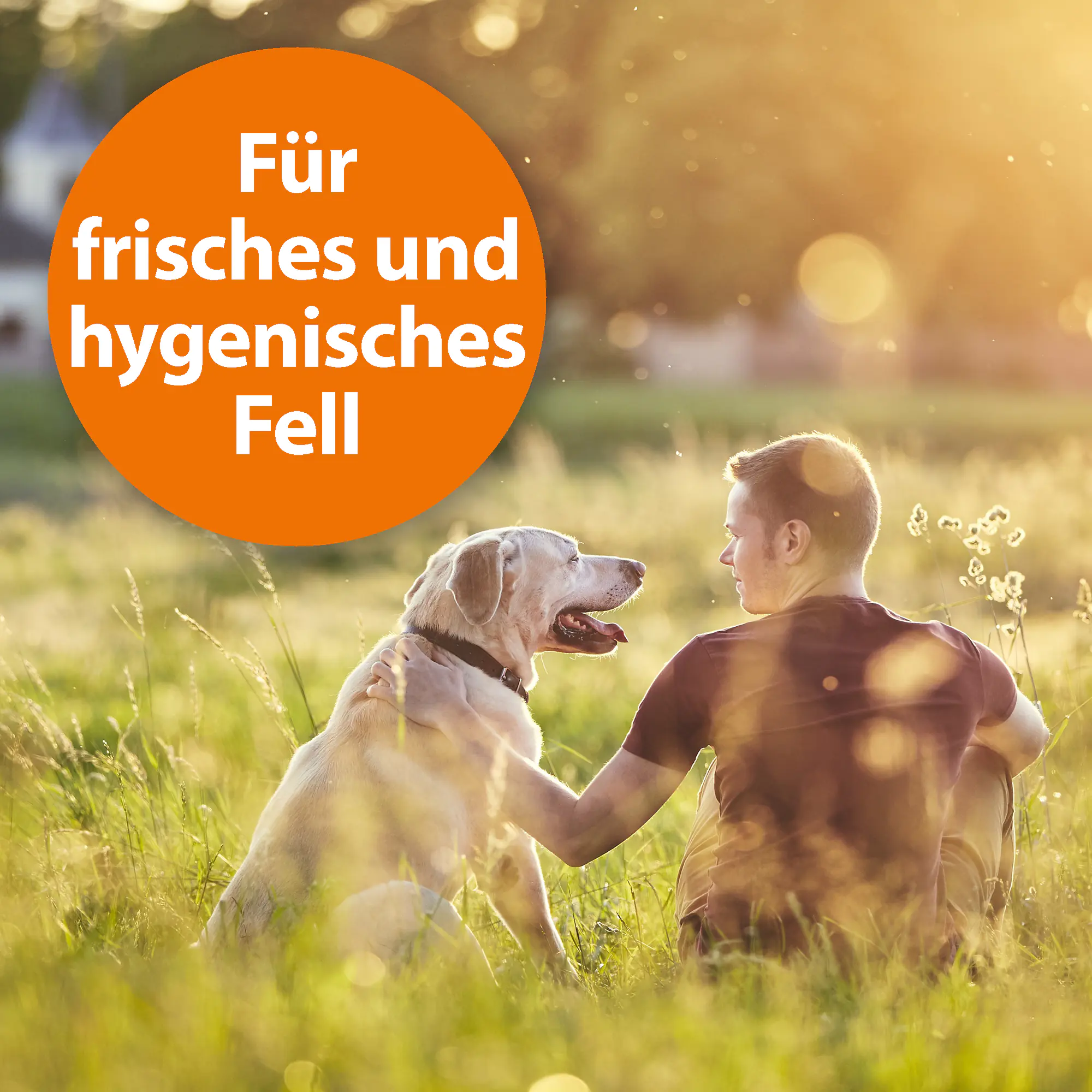 ARDAP Anti–Floh Shampoo für Hunde 250 ml