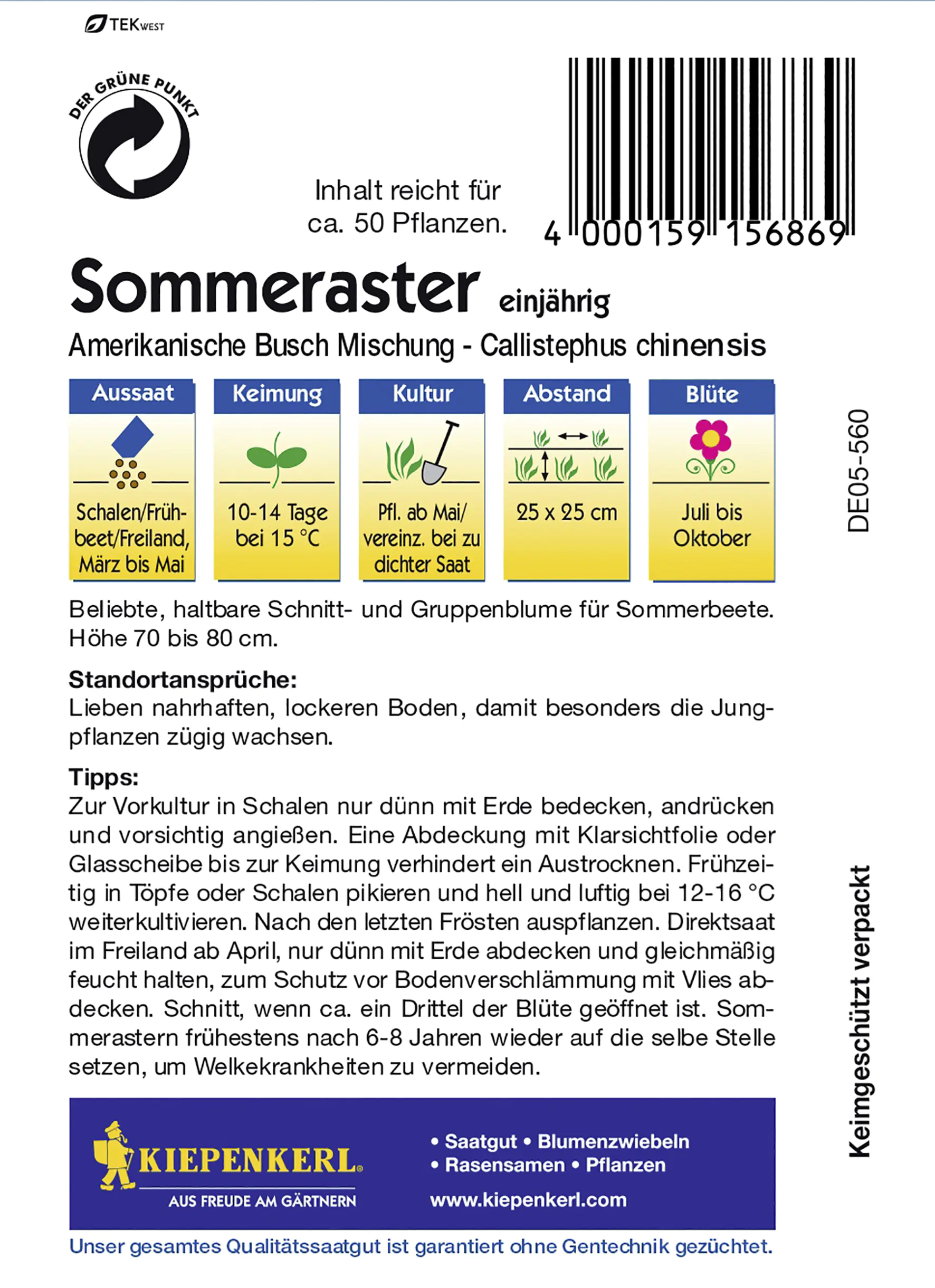 Kiepenkerl Sommeraster Amerikanische Busch Mischung Inhalt reicht für ca. 50 Pflanzen