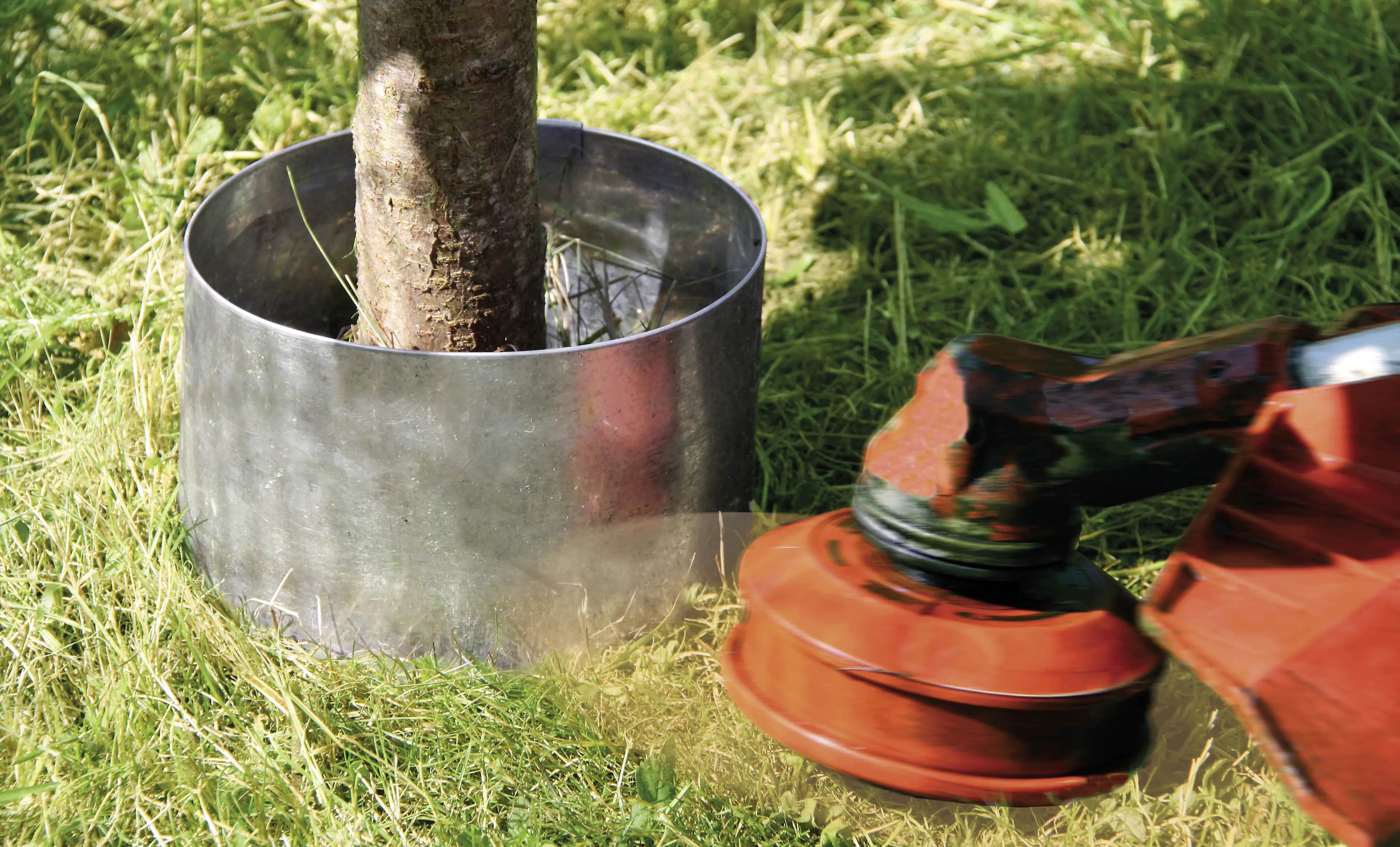 Bellissa Rasenkante Ø 30 cm, 13 cm