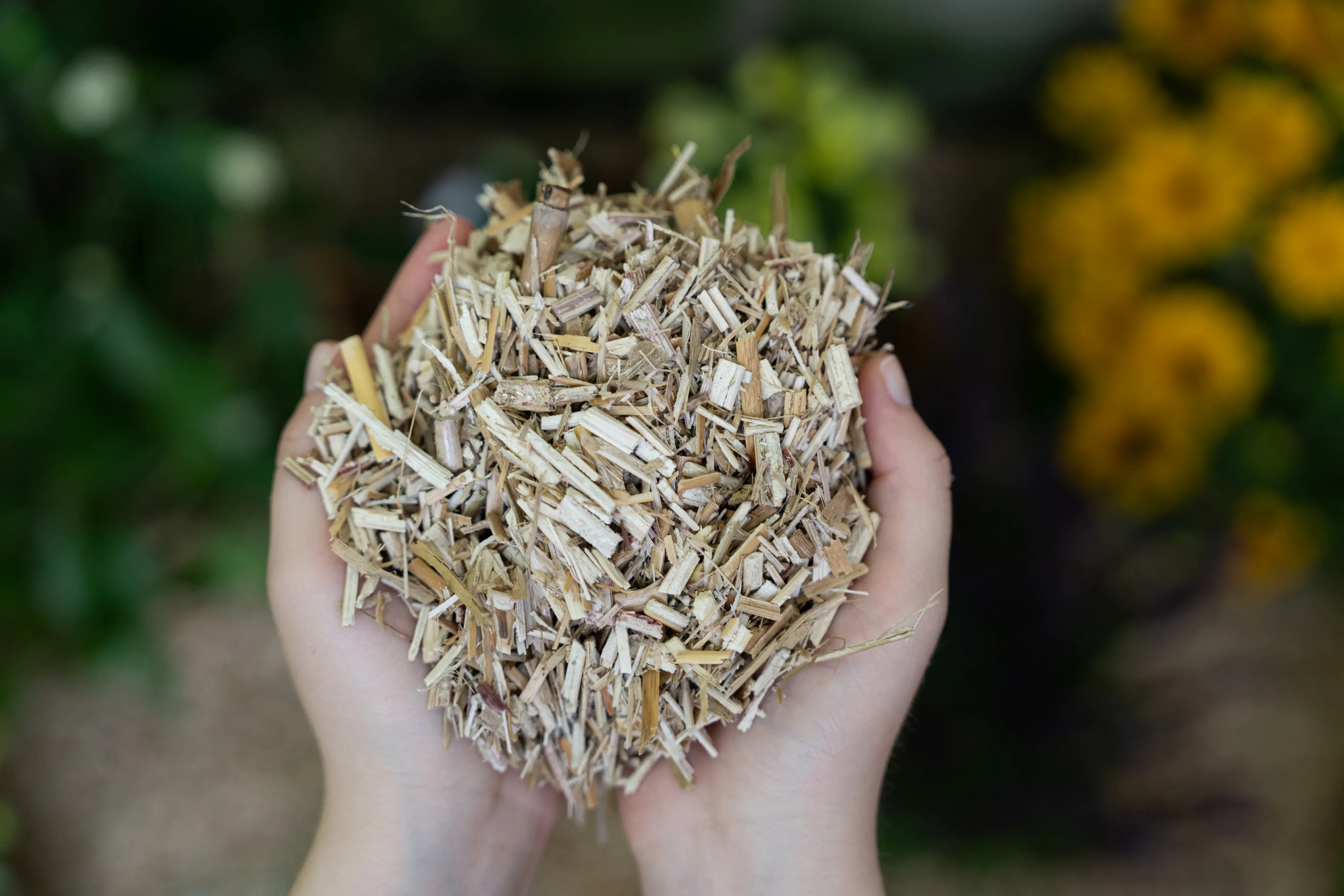 Floragard natürlicher Unkrautschutz Miscanthus Mulch 125 L