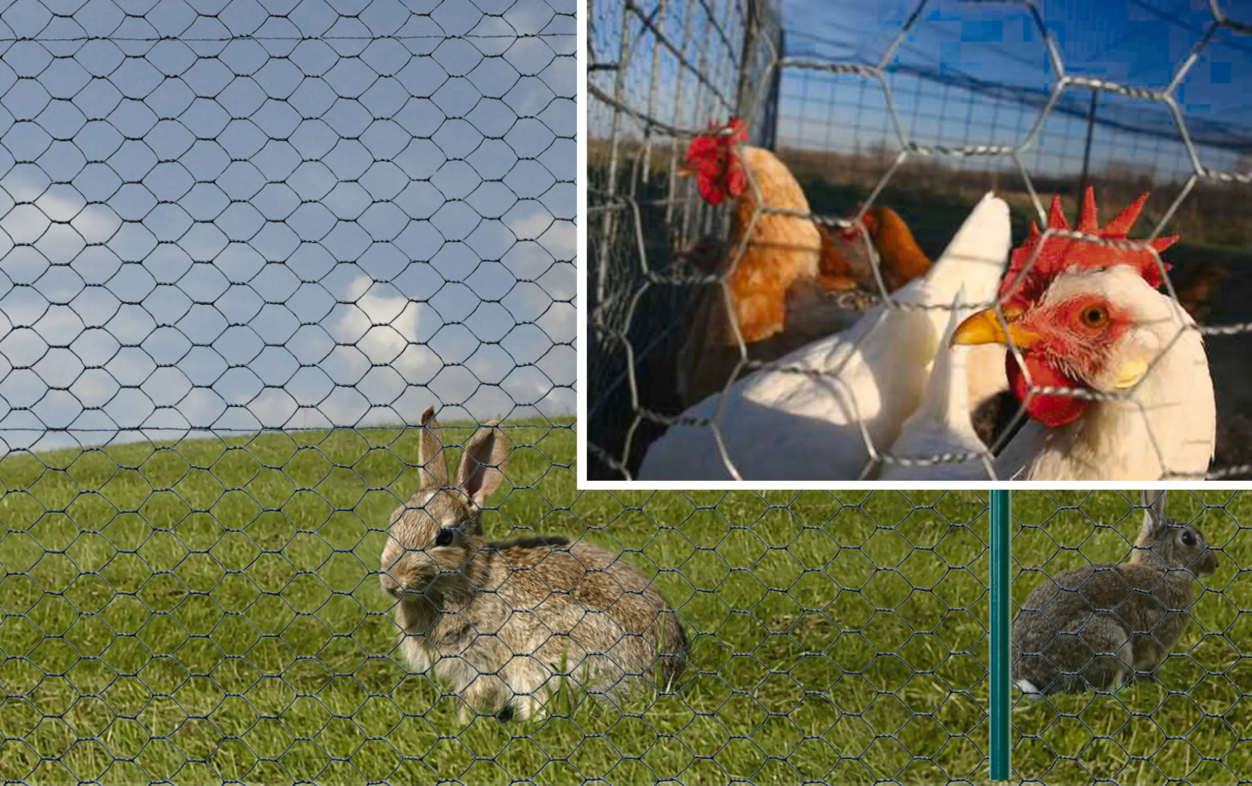 Floraworld Maschendraht-Zaun 25 m x 50 cm 25 mm Maschenweite moosgrün