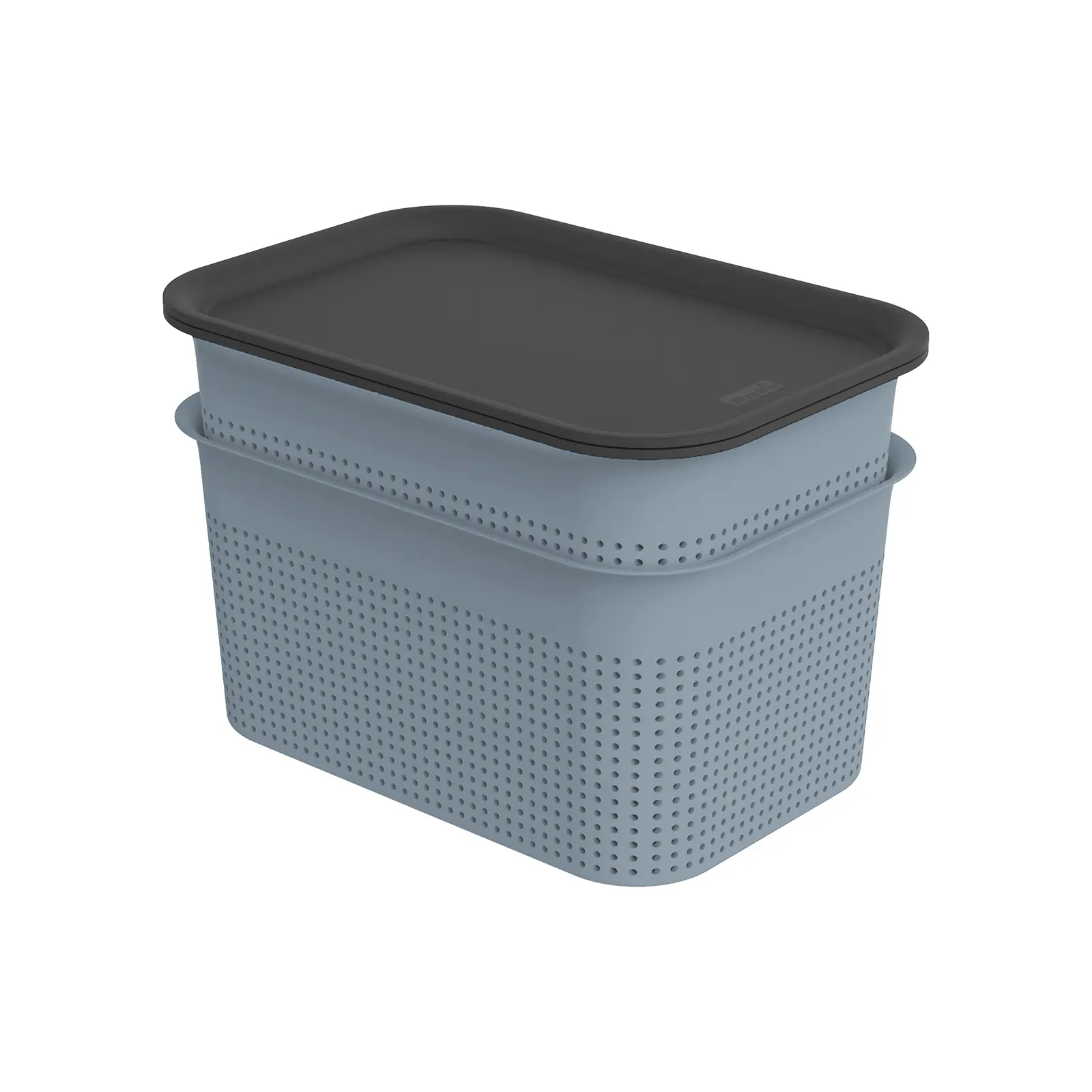 Rotho Aufbewahrungsbox Brisen mit Deckel 26,5 x 18,5 cm 4,5 L misty blau 2er Set