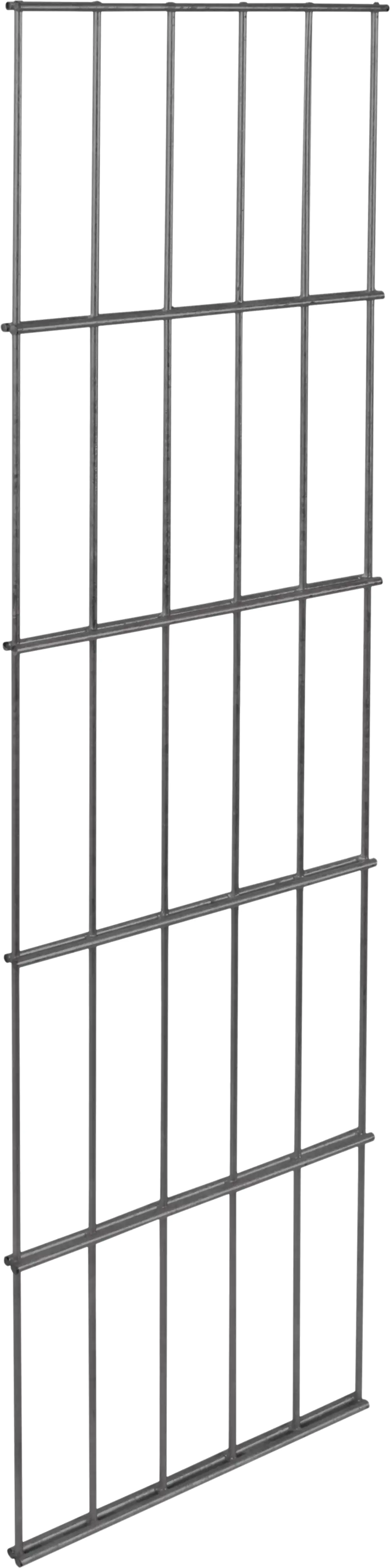 Alberts Seitengitter Cluster 250 mm 100 x 25 cm 6/5/6 anthrazit Alberts Seitengitter Cluster 250 mm 100 x 25 cm 6/5/6 anthrazit