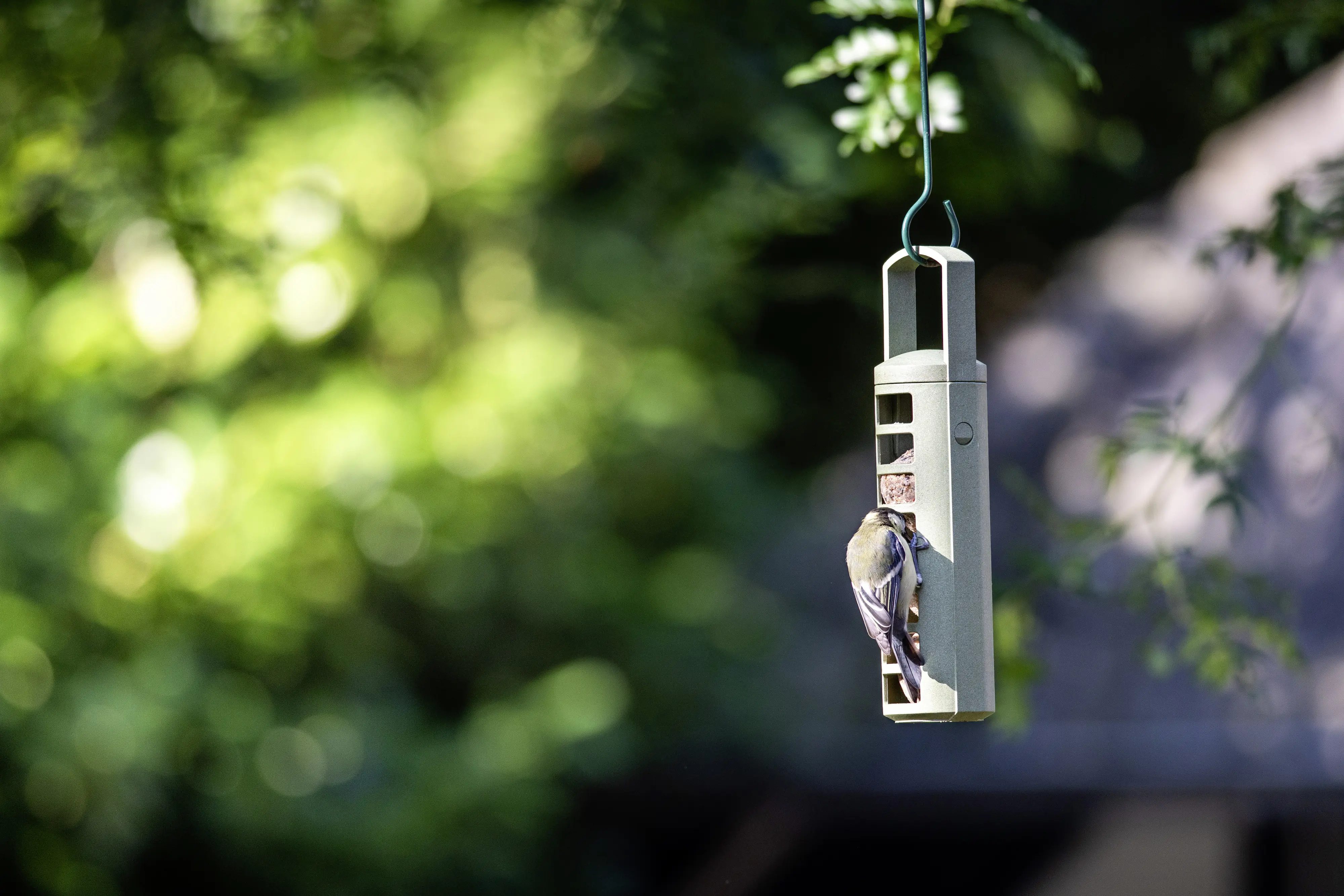 CJ Wildbird Meisenknödelhalter für Wildvögel