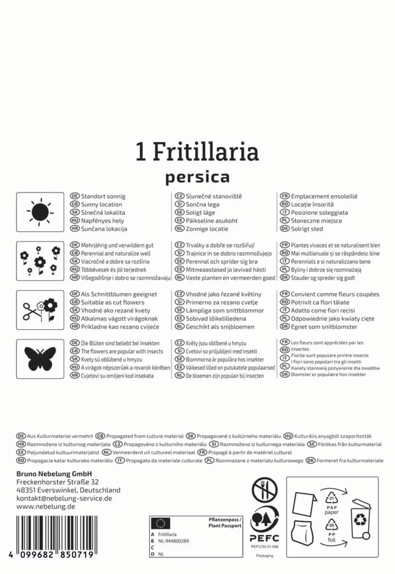 Kiepenkerl Herbstblumenzwiebel Persische Kaiserkrone 1 Stück